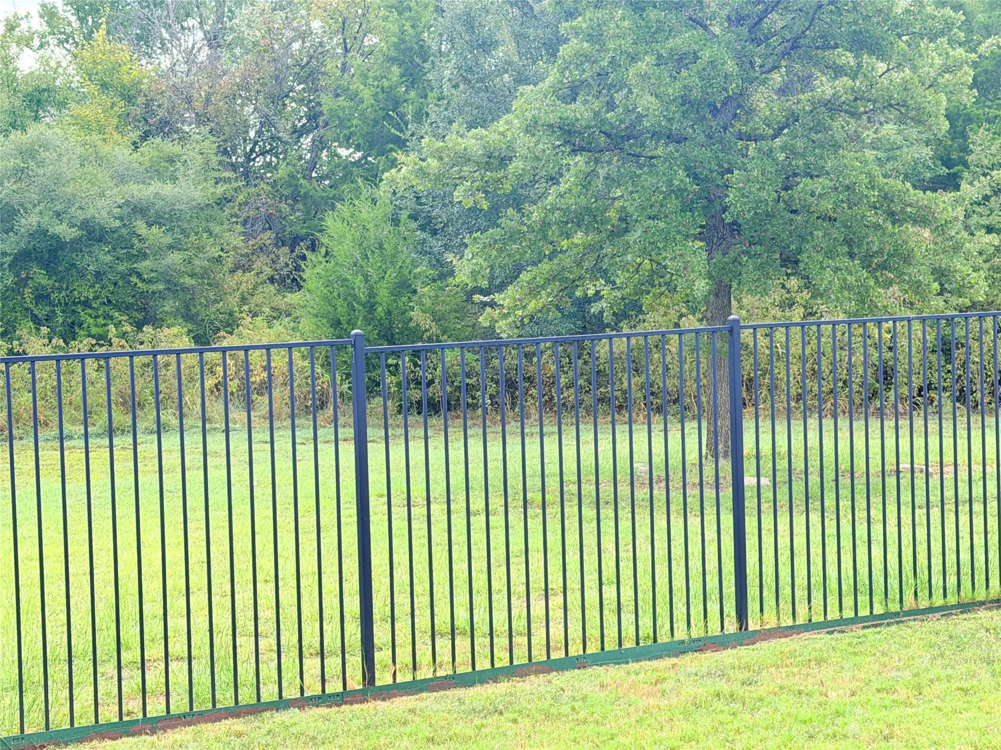 Backyard overlooks greenbelt. Rather see Texas natural instead of wall or neighbor's backyard.