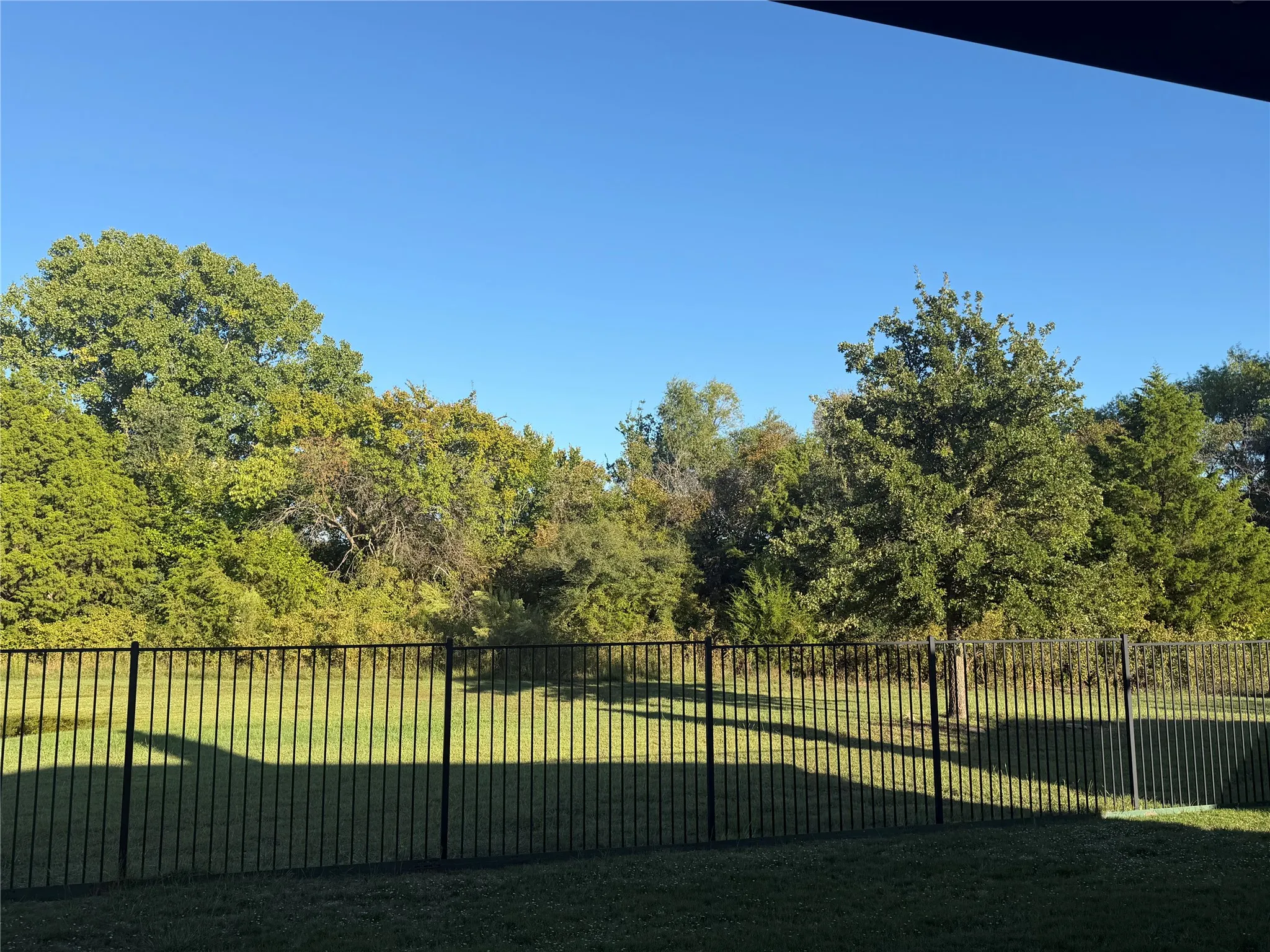 Birdwatching? Critter watch? Nature in Texas!