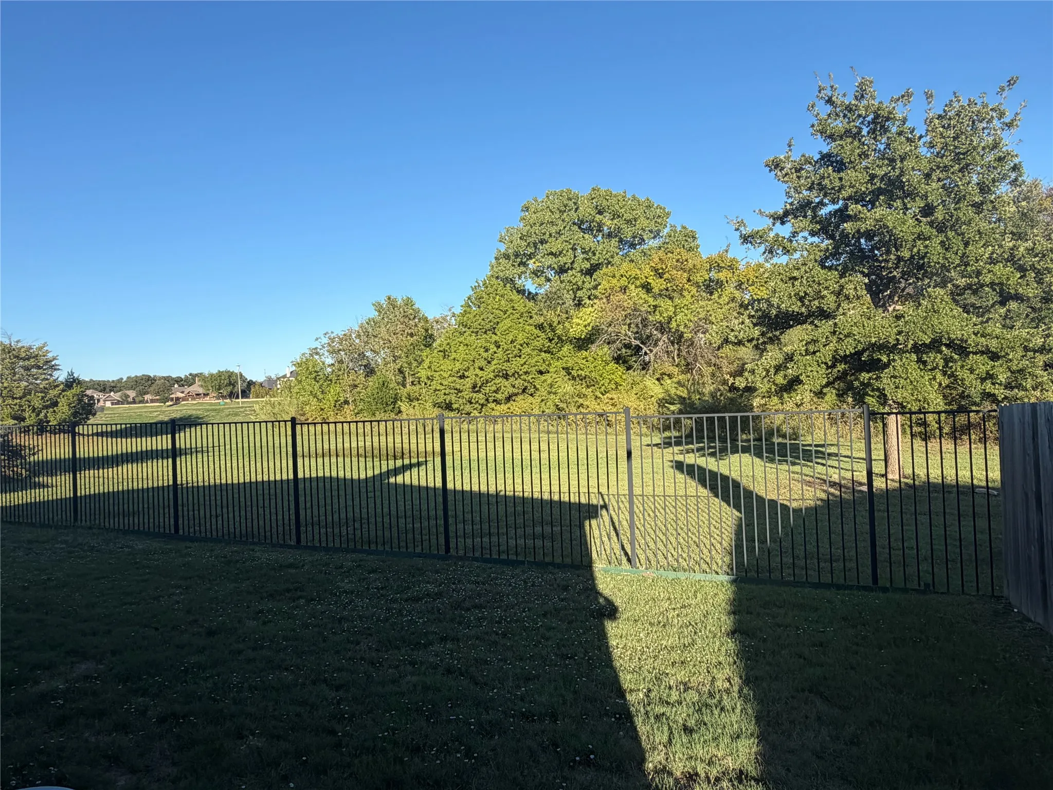 Backyard view of greenbelt.
