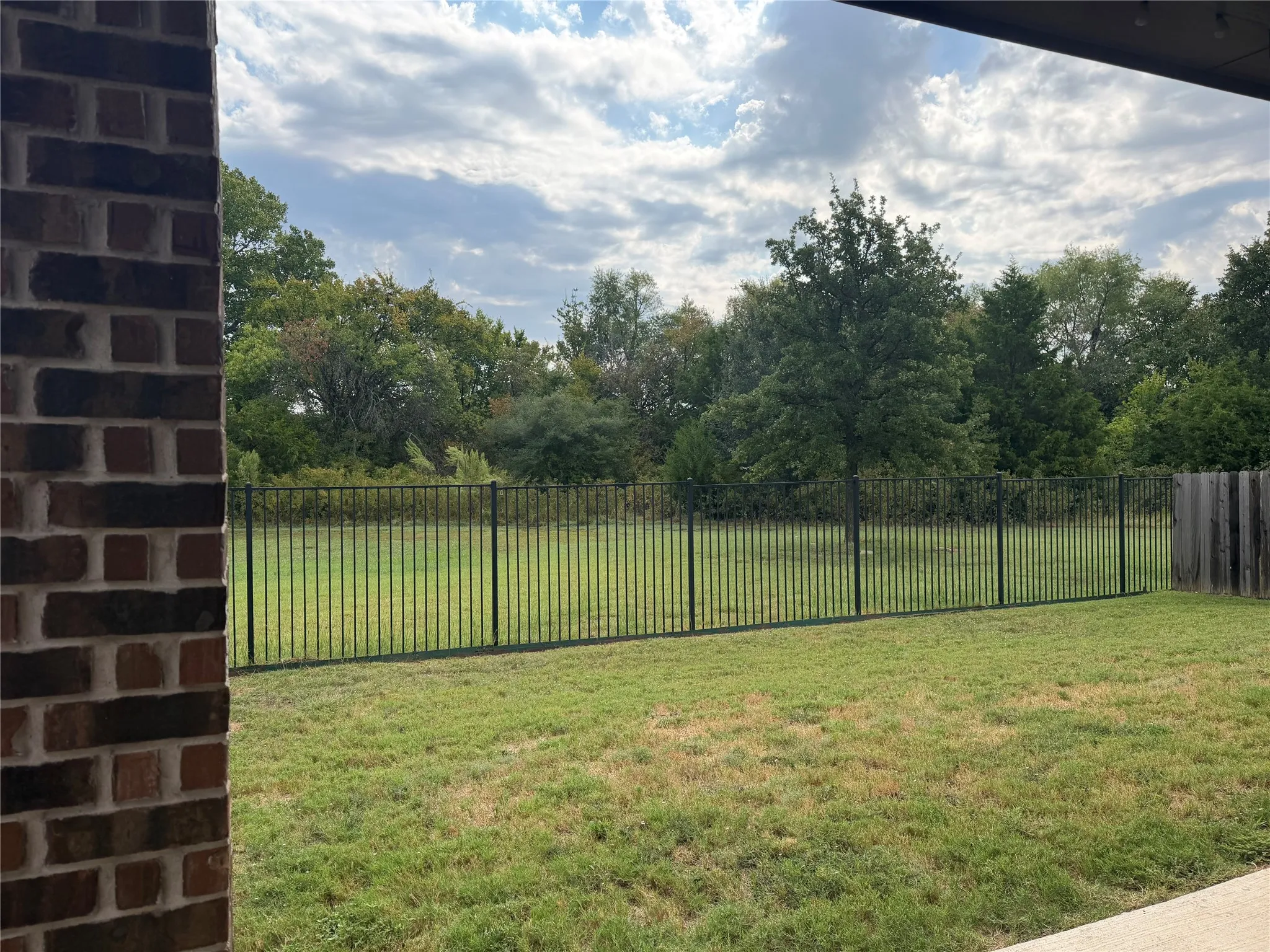 Backyard view of greenbelt.
