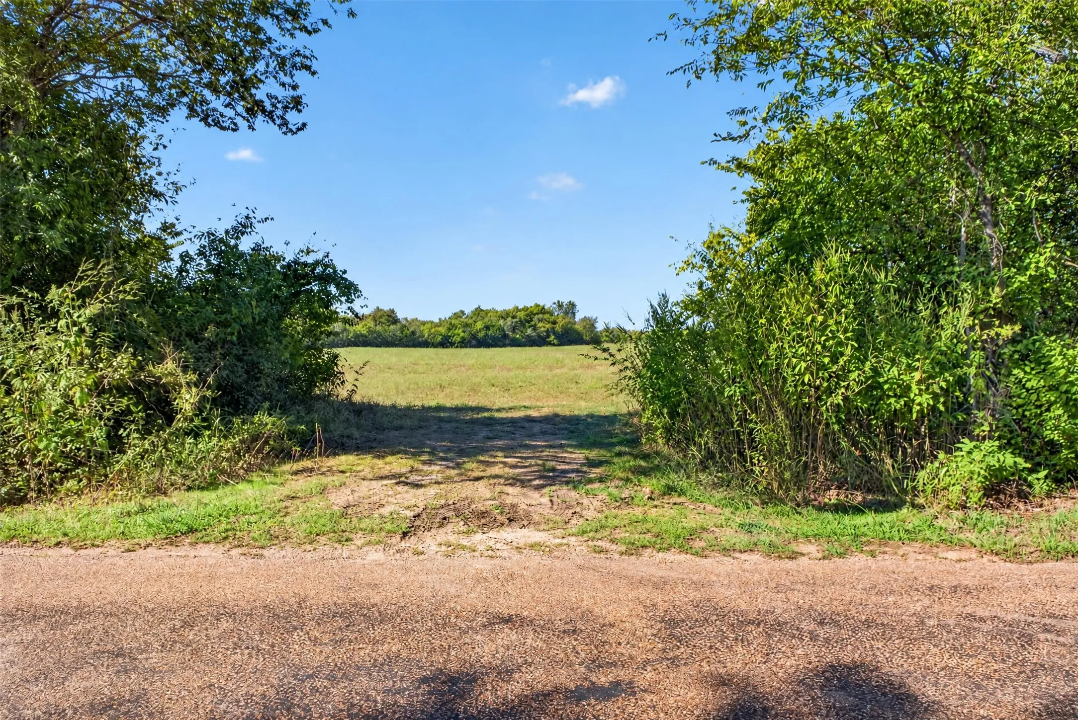 Unimproved Land For Sale in Johnson County , 324 S County Road 1226, Cleburne, Texas 76033, 0, 0, Garage spaces, 0 Sqft, built in 0, mls#21401628, Real Estate Agent in Cleburne, Homes For Sale in Johnson county, Homes For Sale in Cleburne, Realtor in Cleburne Texas, Real Estate Brokerage Independent Realty Texas, Luminita Cordes Realtor