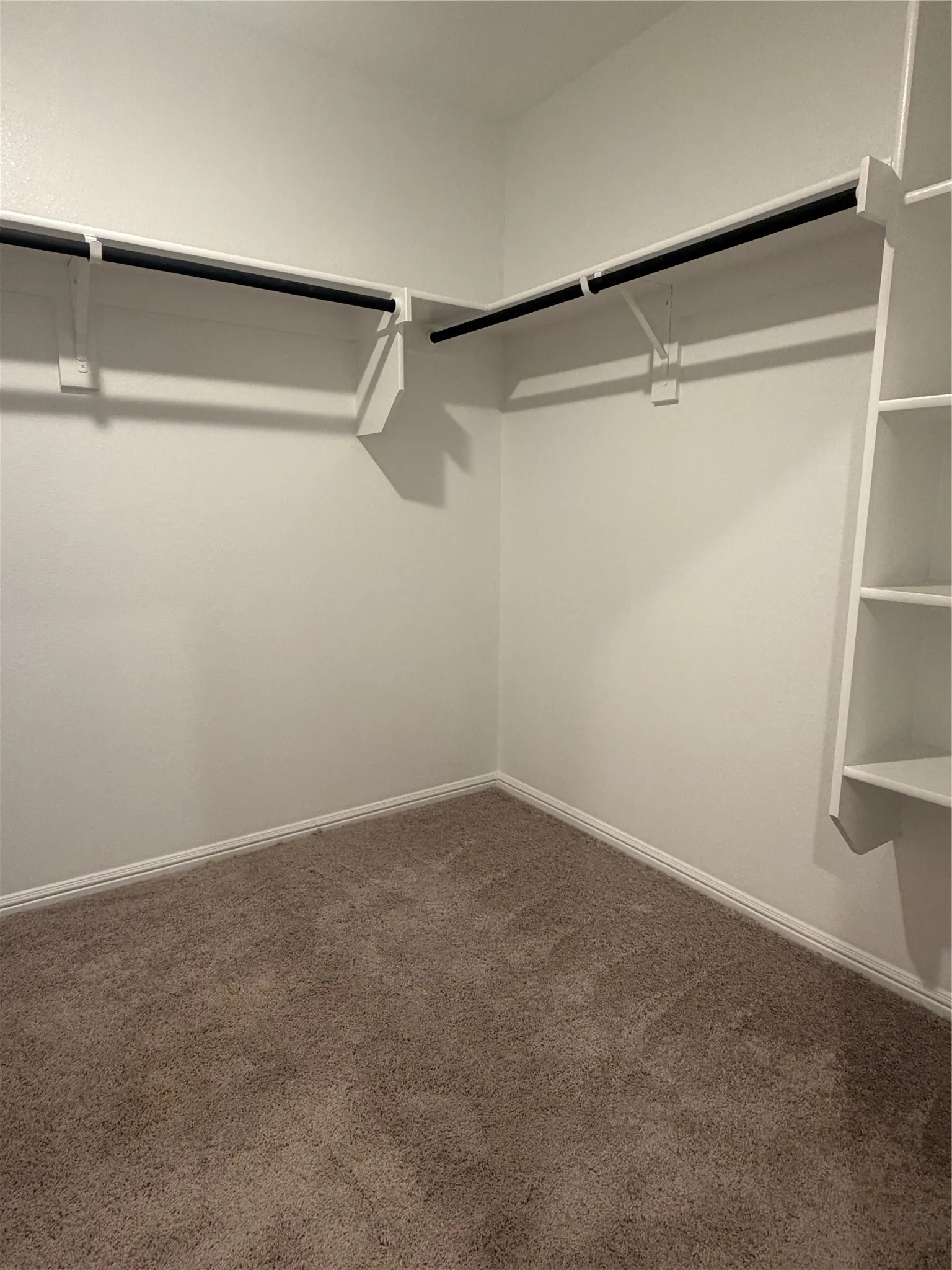Built-in shelving with hanging rods and neutral carpeting