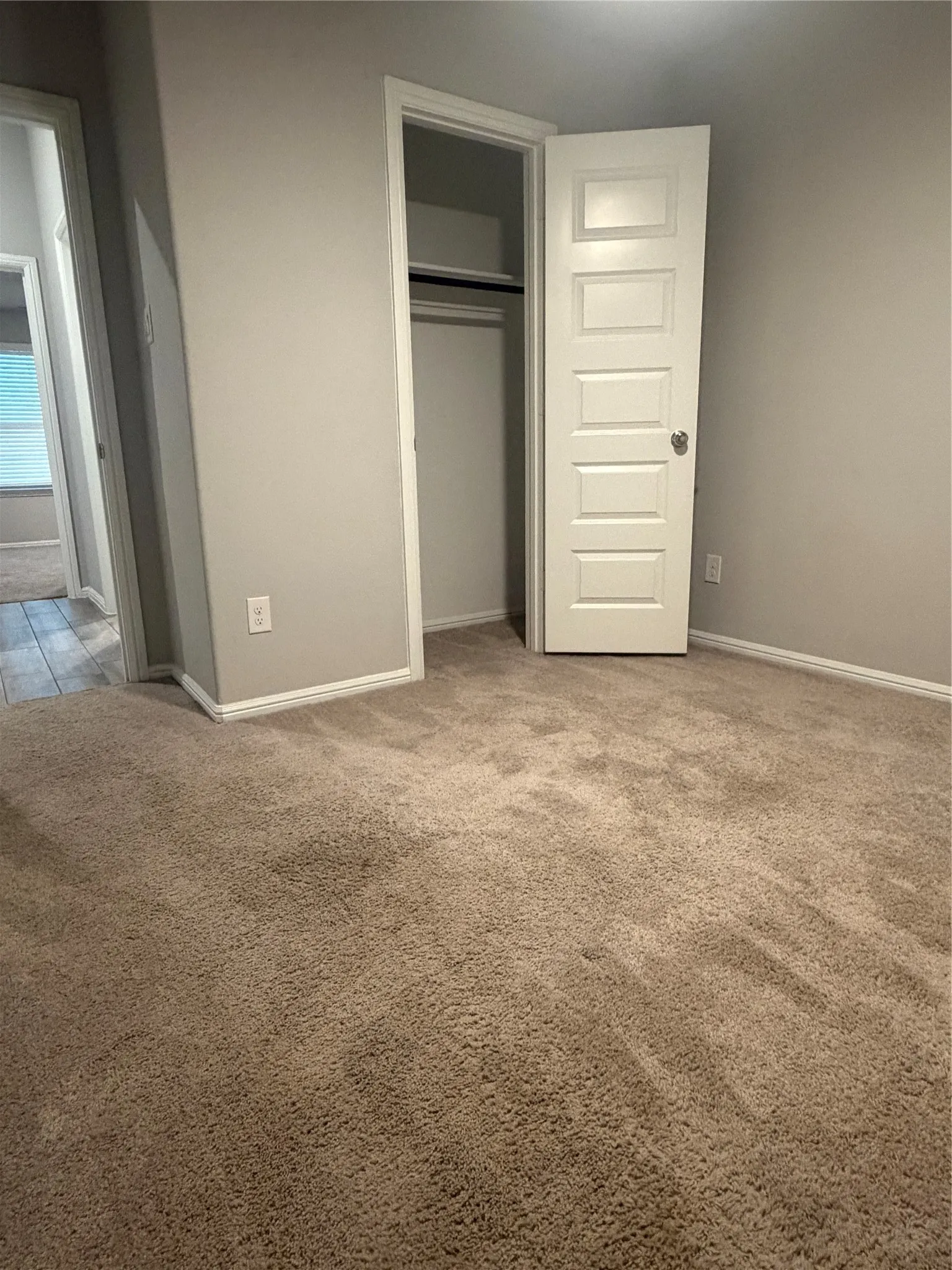 Neutral tone wall paint, carpet flooring, a white paneled door, and a built-in closet with a hanging rod