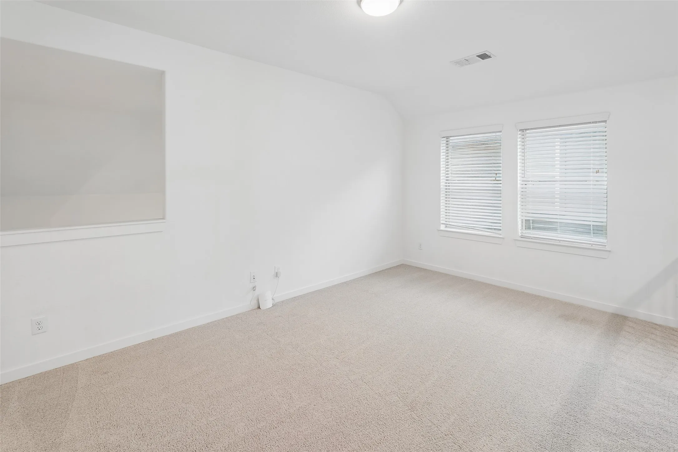 Carpeted flooring, white walls, two windows with blinds, and a built-in architectural opening