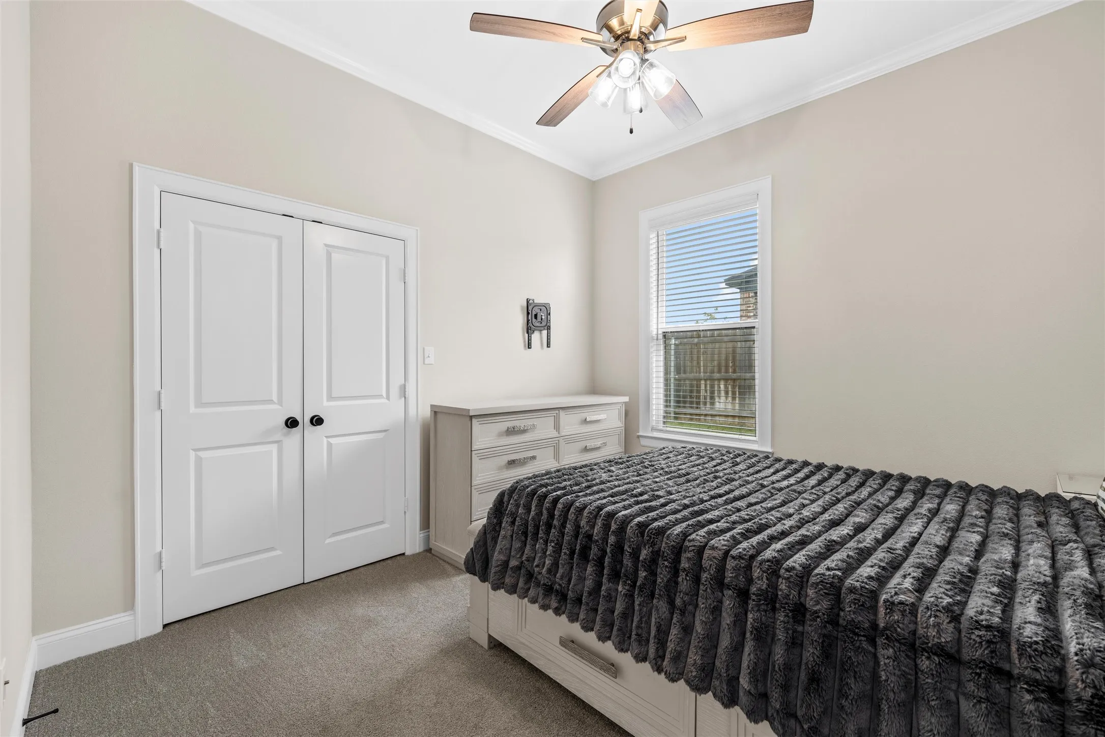 Neutral painted walls, crown molding, double-panel closet doors, and carpeted flooring