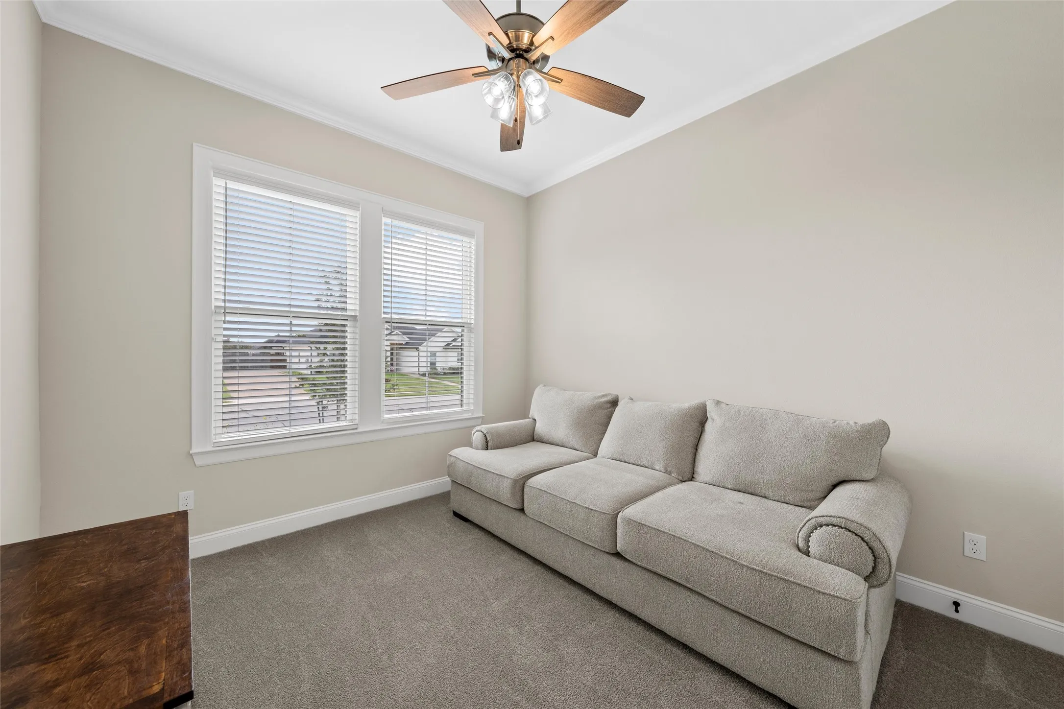 Carpeted room featuring dual windows with blinds, a ceiling fan with light fixture, and crown molding