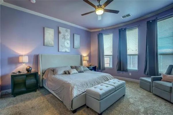 Room featuring plush carpeting, crown molding, and multiple windows with blinds