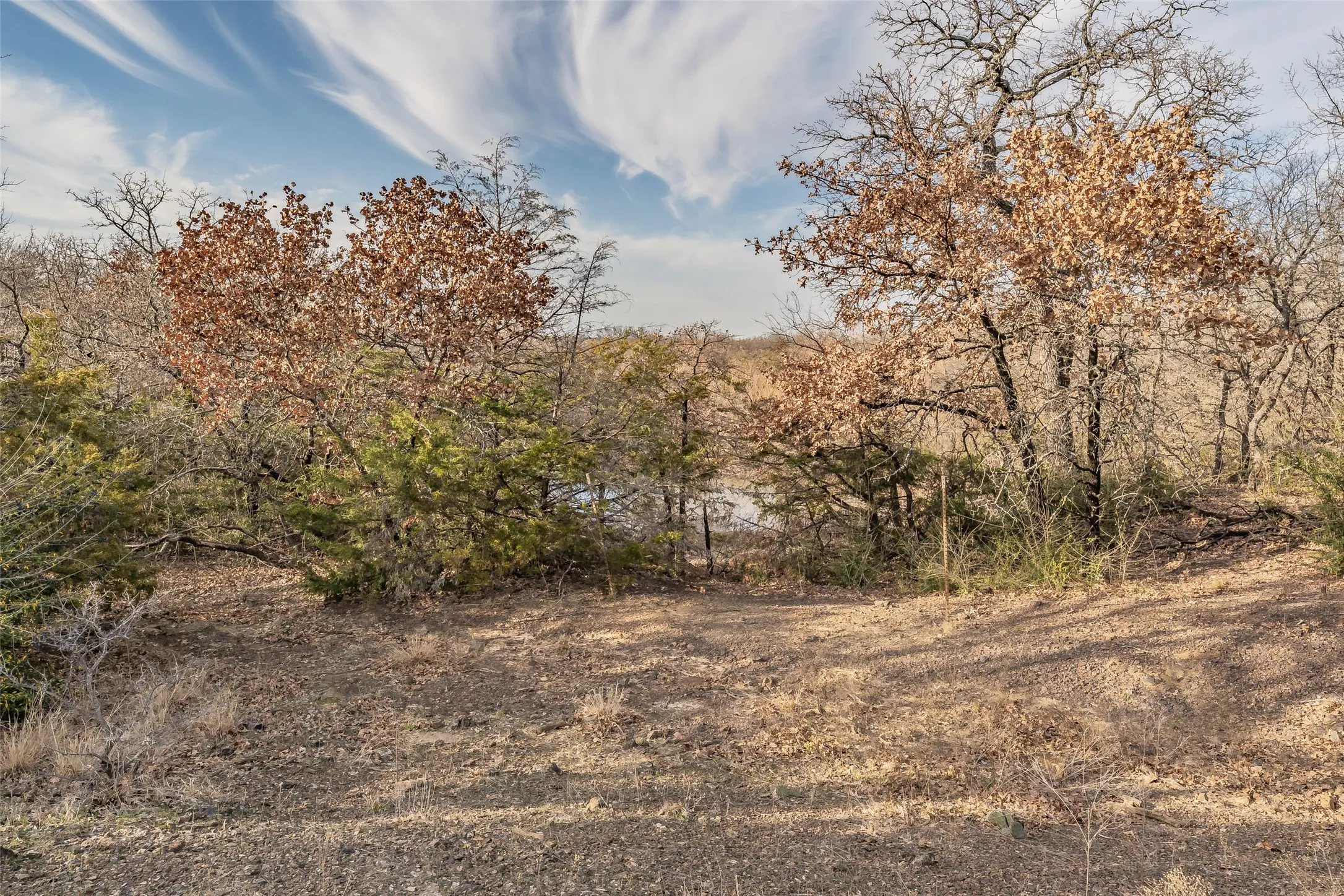 Unimproved Land For Sale in Tarrant County , 3117 W Division Street, Arlington, Texas 76012, 0, 0, Garage spaces, 0 Sqft, built in 0, mls#21401922, Real Estate Agent in Arlington, Homes For Sale in Tarrant county, Homes For Sale in Arlington, Realtor in Arlington Texas, Real Estate Brokerage Independent Realty Texas, Luminita Cordes Realtor