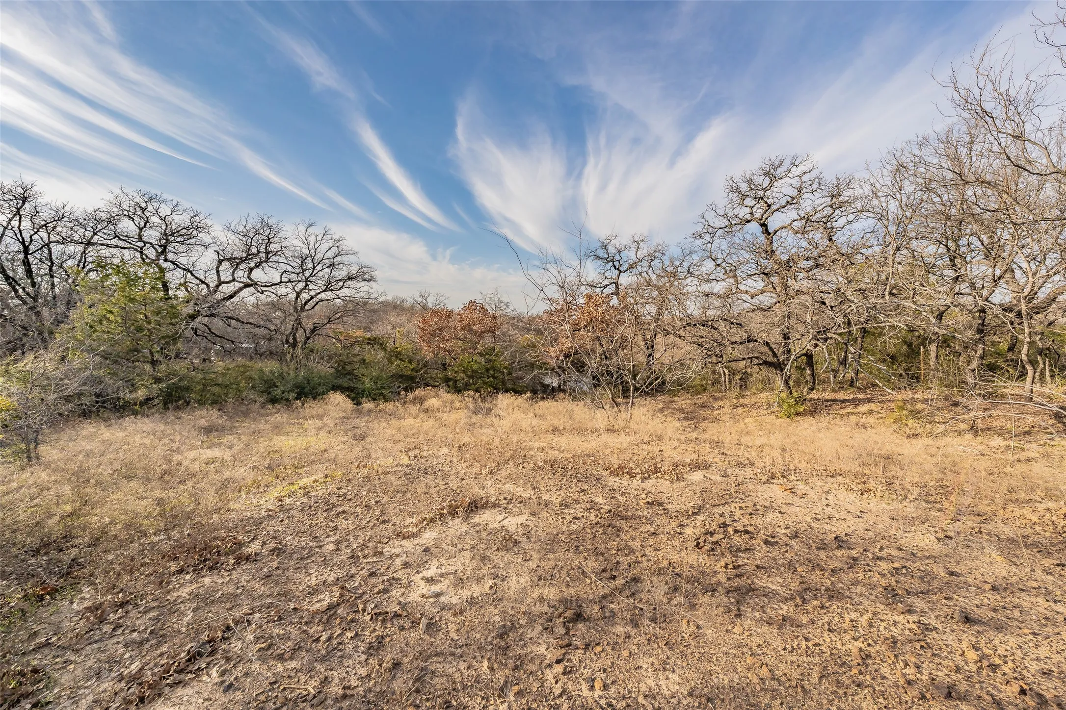 Unimproved Land For Sale in Tarrant County , 3117 W Division Street, Arlington, Texas 76012, 0, 0, Garage spaces, 0 Sqft, built in 0, mls#21401922, Real Estate Agent in Arlington, Homes For Sale in Tarrant county, Homes For Sale in Arlington, Realtor in Arlington Texas, Real Estate Brokerage Independent Realty Texas, Luminita Cordes Realtor
