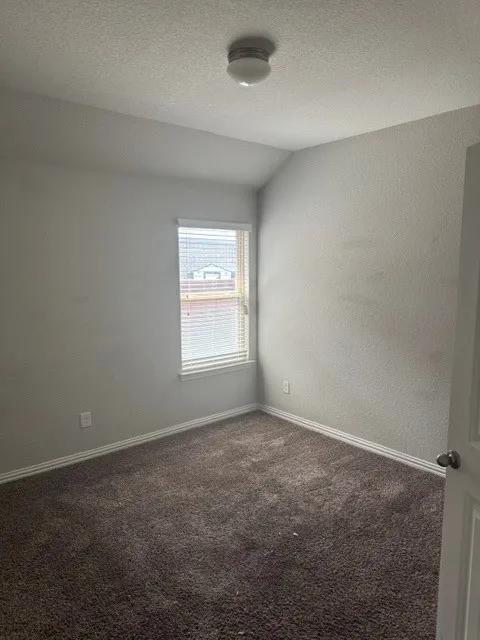 Neutral wall color, window with blinds, overhead light fixture, and plush carpeting