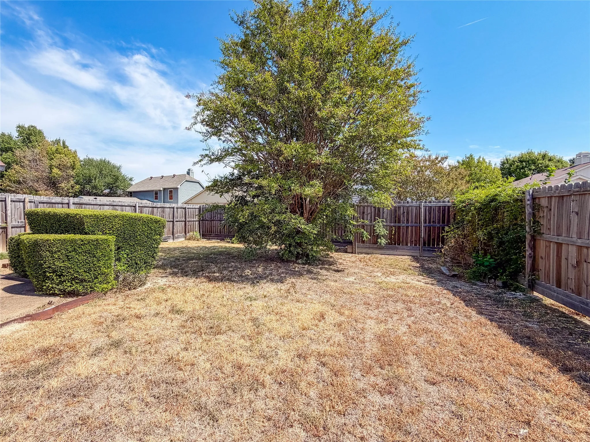 Expansive fenced backyard featuring a mature tree, manicured hedges, and a privacy fence