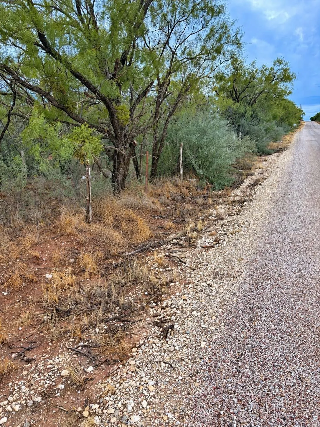 Unimproved Land For Sale in Nolan County , TBD CR 107, Trent, Texas 79561, 0, 0, Garage spaces, 0 Sqft, built in 0, mls#21400885, Real Estate Agent in Trent, Homes For Sale in Nolan county, Homes For Sale in Trent, Realtor in Trent Texas, Real Estate Brokerage Independent Realty Texas, Luminita Cordes Realtor