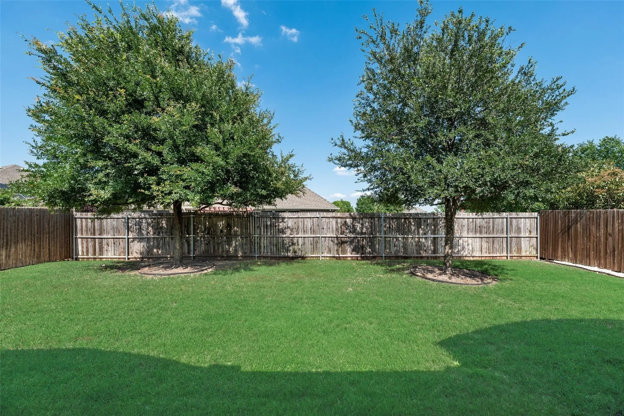 Back Yard Trees