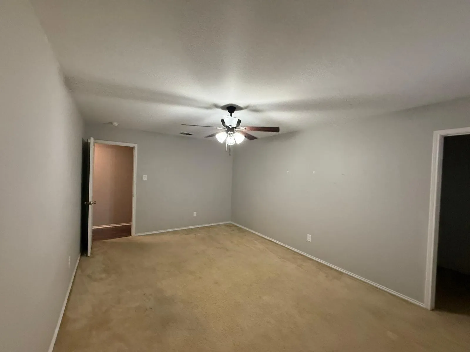 Ceiling fan with light fixture, neutral wall finishes, and carpeted flooring
