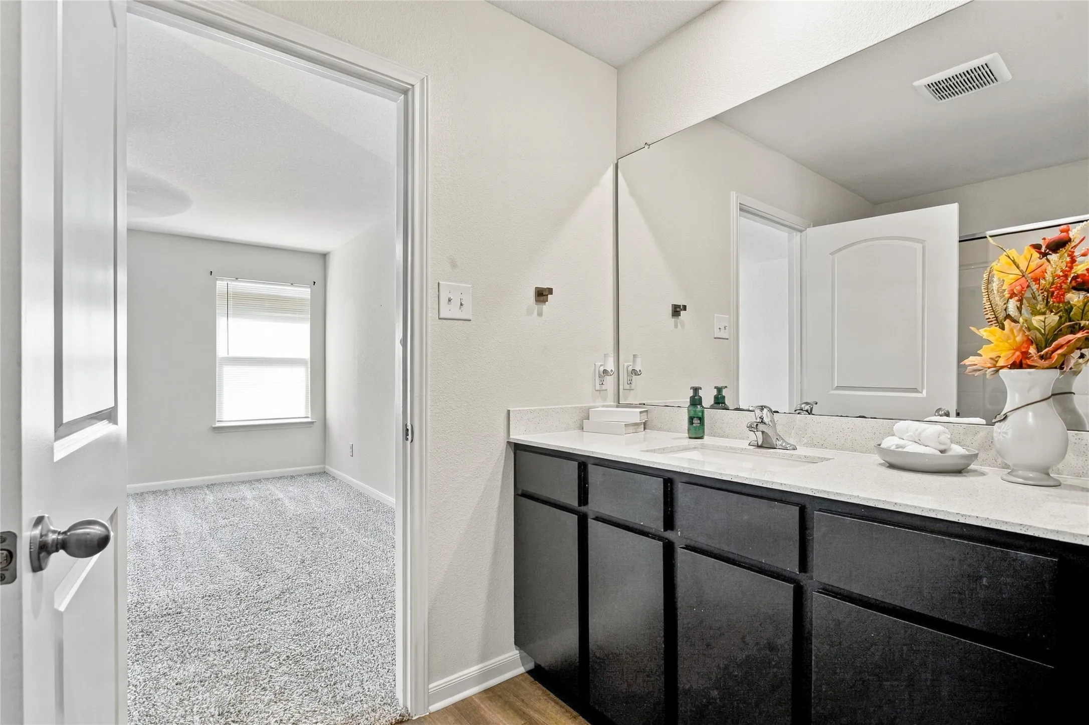 View into the Primary Bedroom from the Primary Bathroom