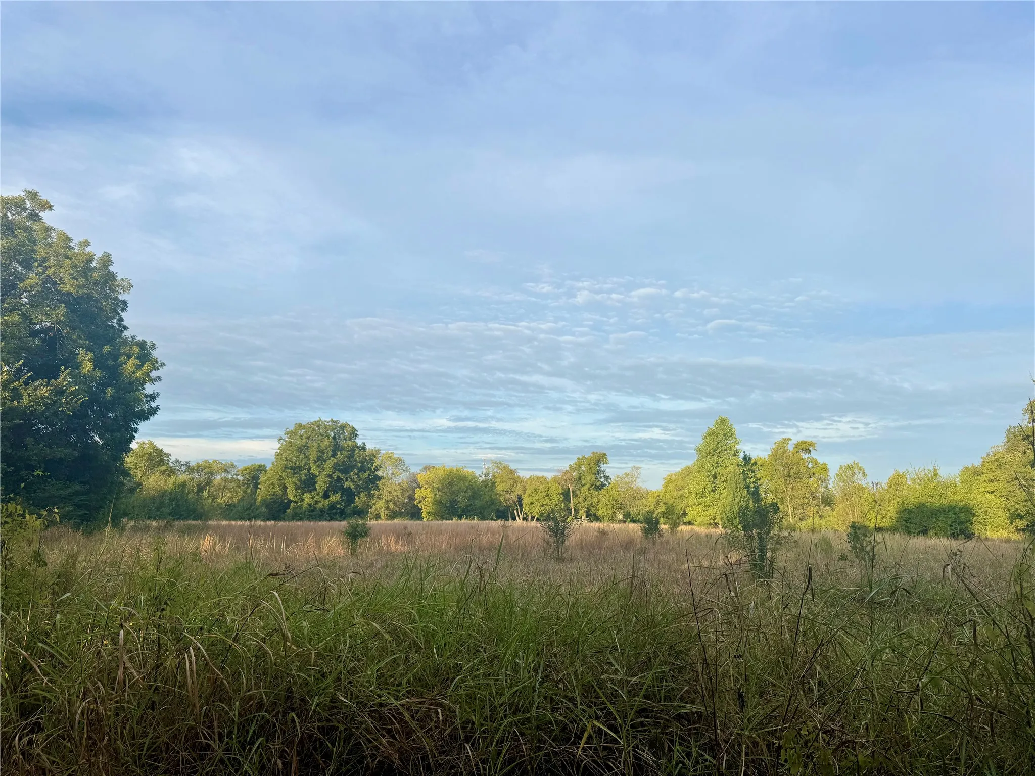 Unimproved Land For Sale in Lamar County , 354 N Jeffus Street, Deport, Texas 75435, 0, 0, Garage spaces, 0 Sqft, built in 0, mls#21397486, Real Estate Agent in Deport, Homes For Sale in Lamar county, Homes For Sale in Deport, Realtor in Deport Texas, Real Estate Brokerage Independent Realty Texas, Luminita Cordes Realtor