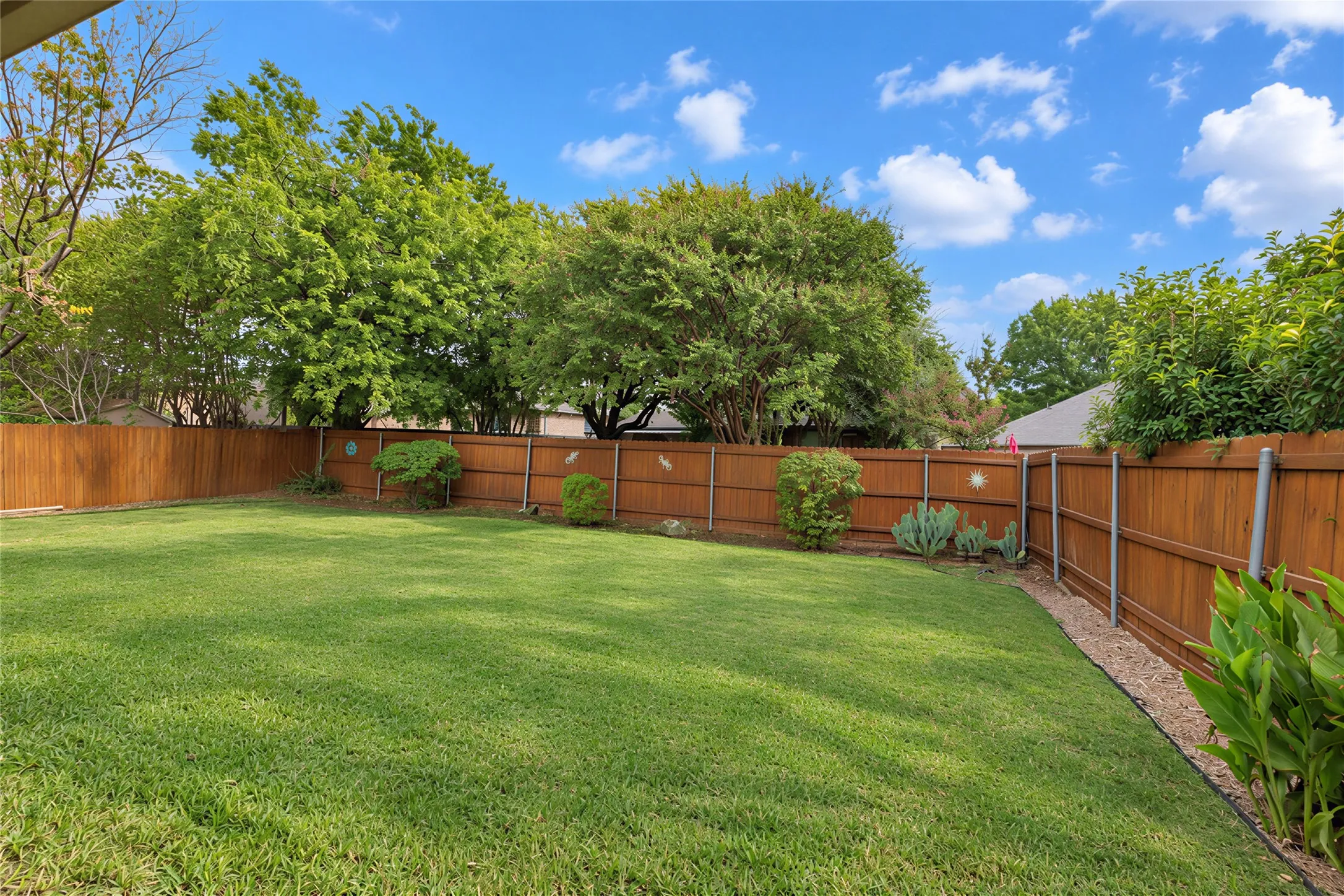 Backyard