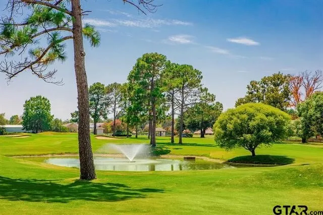 Single Family Residence For Sale in Smith County , 66 S Ryder Cup Trail, Hideaway, Texas 75771, 3 Bedroom, 4 Bathroom, 2 Garage spaces, 3,629 Sqft, built in 2018, mls#21401665, Real Estate Agent in Hideaway, Homes For Sale in Smith county, Homes For Sale in Hideaway, Realtor in Hideaway Texas, Real Estate Brokerage Independent Realty Texas, Luminita Cordes Realtor