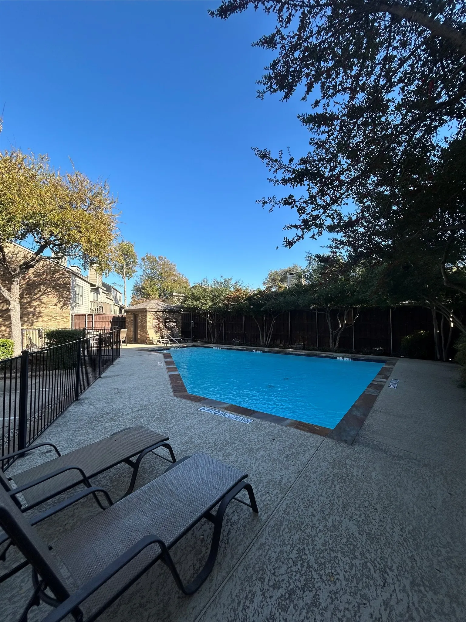 The community pool.