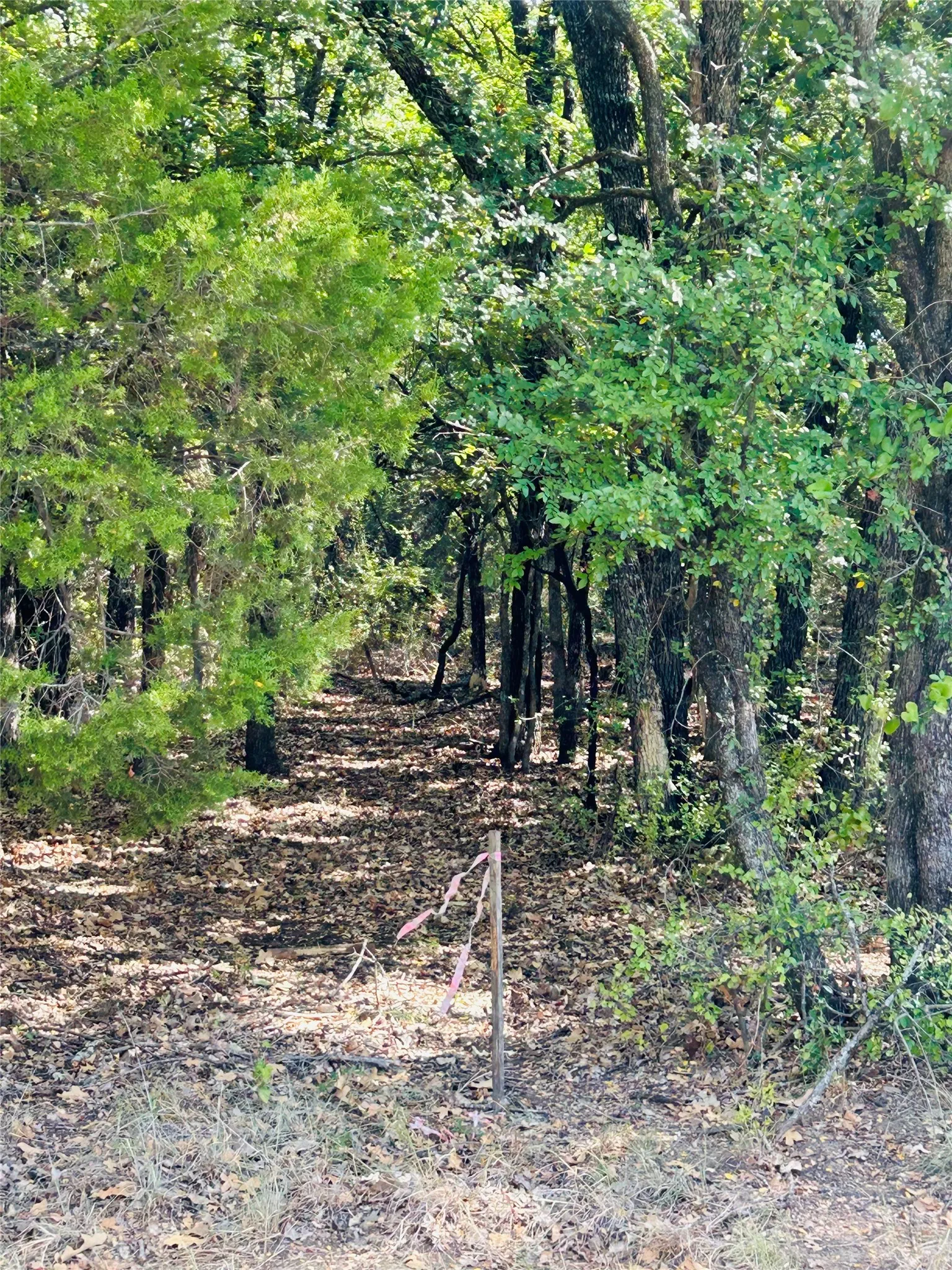 Unimproved Land For Sale in Hill County , TBD Westmeadow Dr, Whitney, Texas 76692, 0, 0, Garage spaces, 0 Sqft, built in 0, mls#21399163, Real Estate Agent in Whitney, Homes For Sale in Hill county, Homes For Sale in Whitney, Realtor in Whitney Texas, Real Estate Brokerage Independent Realty Texas, Luminita Cordes Realtor