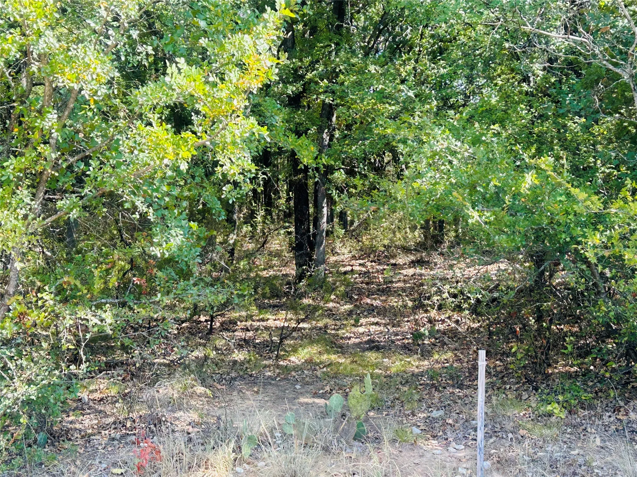 Unimproved Land For Sale in Hill County , TBD Westmeadow Dr, Whitney, Texas 76692, 0, 0, Garage spaces, 0 Sqft, built in 0, mls#21399163, Real Estate Agent in Whitney, Homes For Sale in Hill county, Homes For Sale in Whitney, Realtor in Whitney Texas, Real Estate Brokerage Independent Realty Texas, Luminita Cordes Realtor