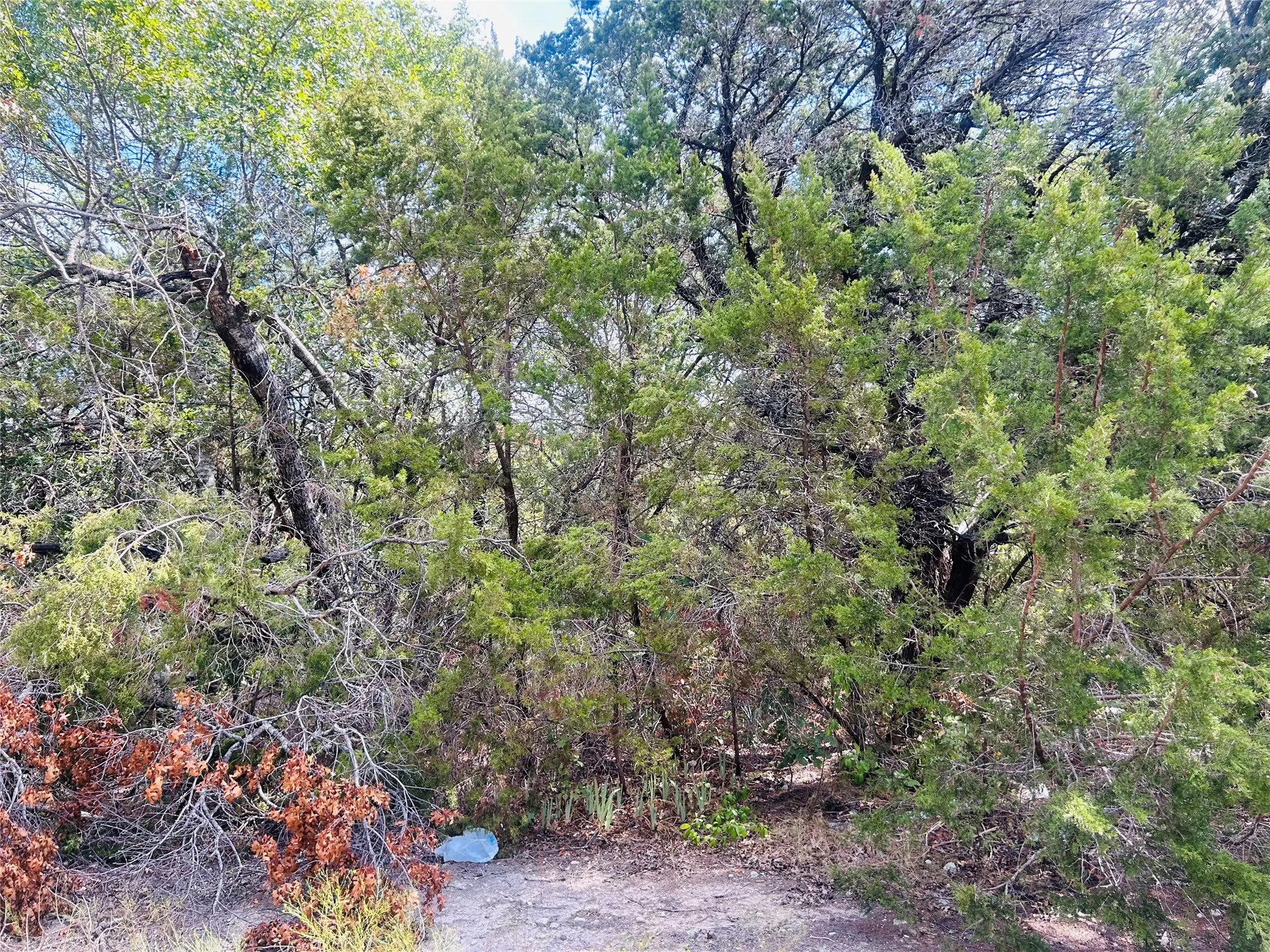 Unimproved Land For Sale in Hill County , TBD GIANT CEDAR TRL, Whitney, Texas 76692, 0, 0, Garage spaces, 0 Sqft, built in 0, mls#21395372, Real Estate Agent in Whitney, Homes For Sale in Hill county, Homes For Sale in Whitney, Realtor in Whitney Texas, Real Estate Brokerage Independent Realty Texas, Luminita Cordes Realtor