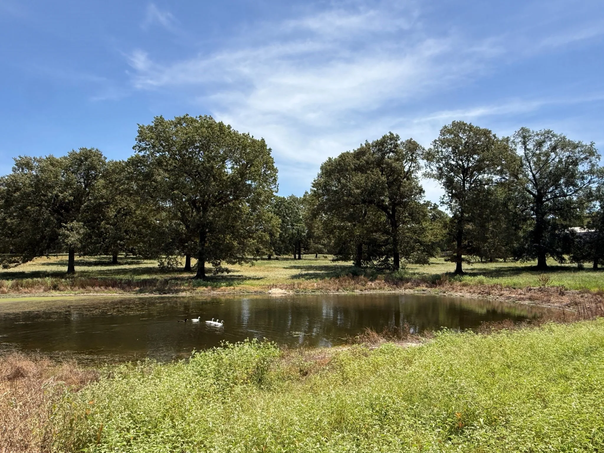Improved Land For Sale in Smith County , TBD US Highway 69 N, Lindale, Texas 75773, 0, 0, Garage spaces, 0 Sqft, built in 0, mls#21402028, Real Estate Agent in Lindale, Homes For Sale in Smith county, Homes For Sale in Lindale, Realtor in Lindale Texas, Real Estate Brokerage Independent Realty Texas, Luminita Cordes Realtor