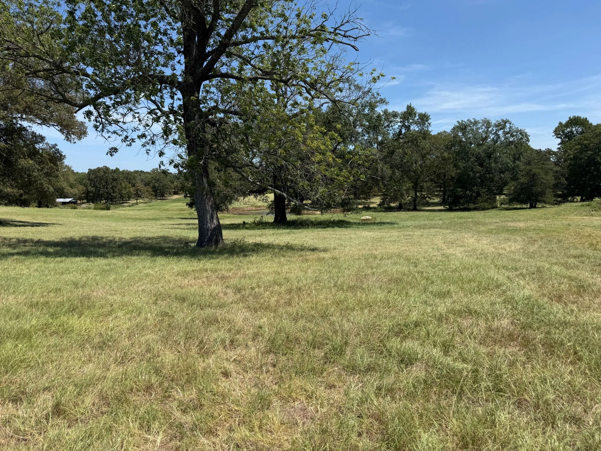 Improved Land For Sale in Smith County , TBD US Highway 69 N, Lindale, Texas 75773, 0, 0, Garage spaces, 0 Sqft, built in 0, mls#21402028, Real Estate Agent in Lindale, Homes For Sale in Smith county, Homes For Sale in Lindale, Realtor in Lindale Texas, Real Estate Brokerage Independent Realty Texas, Luminita Cordes Realtor
