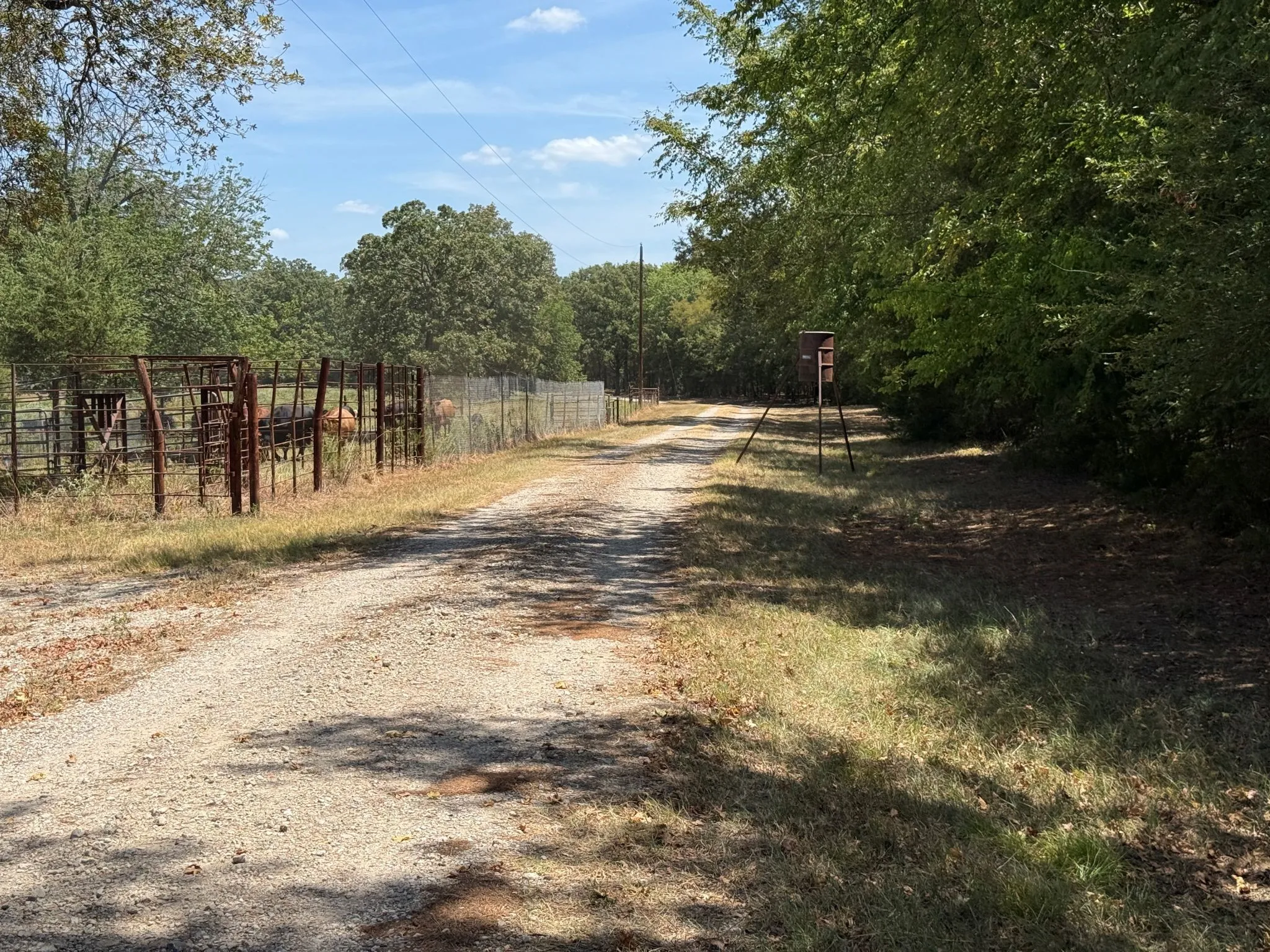 Improved Land For Sale in Smith County , TBD US Highway 69 N, Lindale, Texas 75773, 0, 0, Garage spaces, 0 Sqft, built in 0, mls#21402028, Real Estate Agent in Lindale, Homes For Sale in Smith county, Homes For Sale in Lindale, Realtor in Lindale Texas, Real Estate Brokerage Independent Realty Texas, Luminita Cordes Realtor
