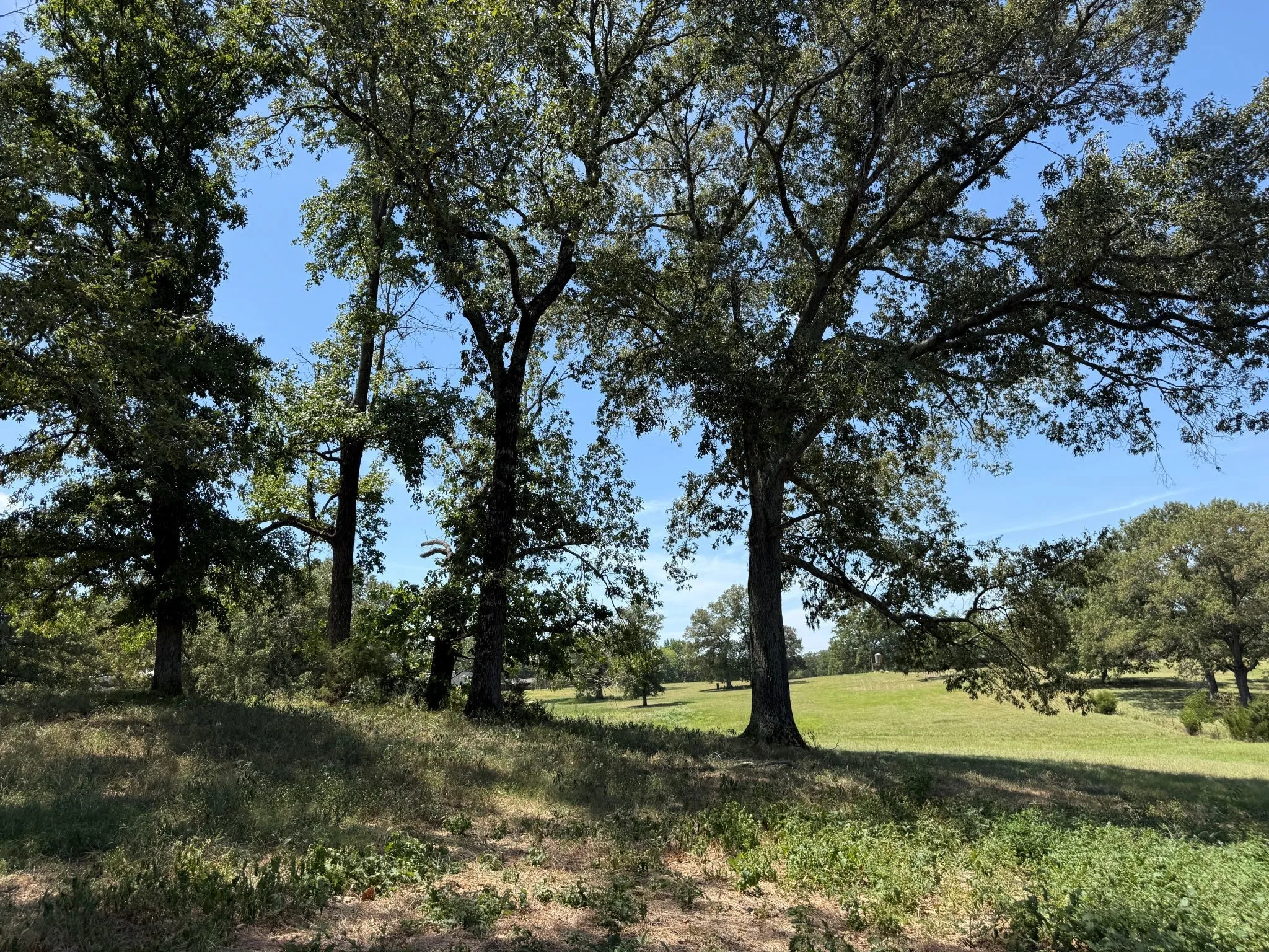 Improved Land For Sale in Smith County , TBD US Highway 69 N, Lindale, Texas 75773, 0, 0, Garage spaces, 0 Sqft, built in 0, mls#21402028, Real Estate Agent in Lindale, Homes For Sale in Smith county, Homes For Sale in Lindale, Realtor in Lindale Texas, Real Estate Brokerage Independent Realty Texas, Luminita Cordes Realtor