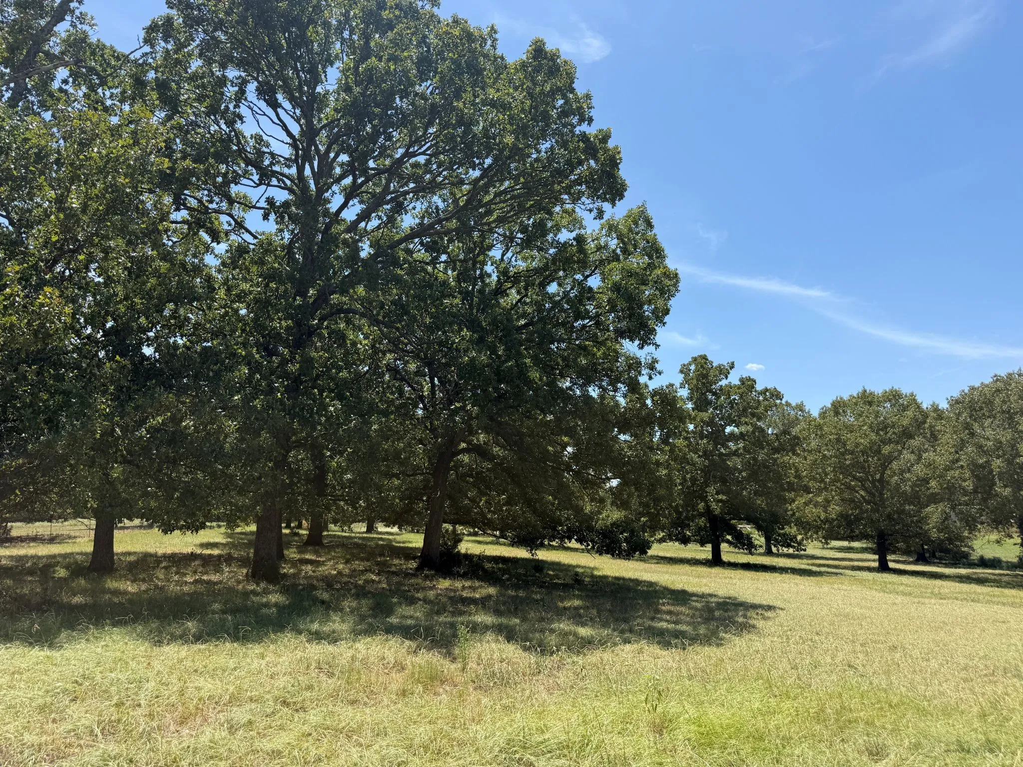 Improved Land For Sale in Smith County , TBD US Highway 69 N, Lindale, Texas 75773, 0, 0, Garage spaces, 0 Sqft, built in 0, mls#21402028, Real Estate Agent in Lindale, Homes For Sale in Smith county, Homes For Sale in Lindale, Realtor in Lindale Texas, Real Estate Brokerage Independent Realty Texas, Luminita Cordes Realtor