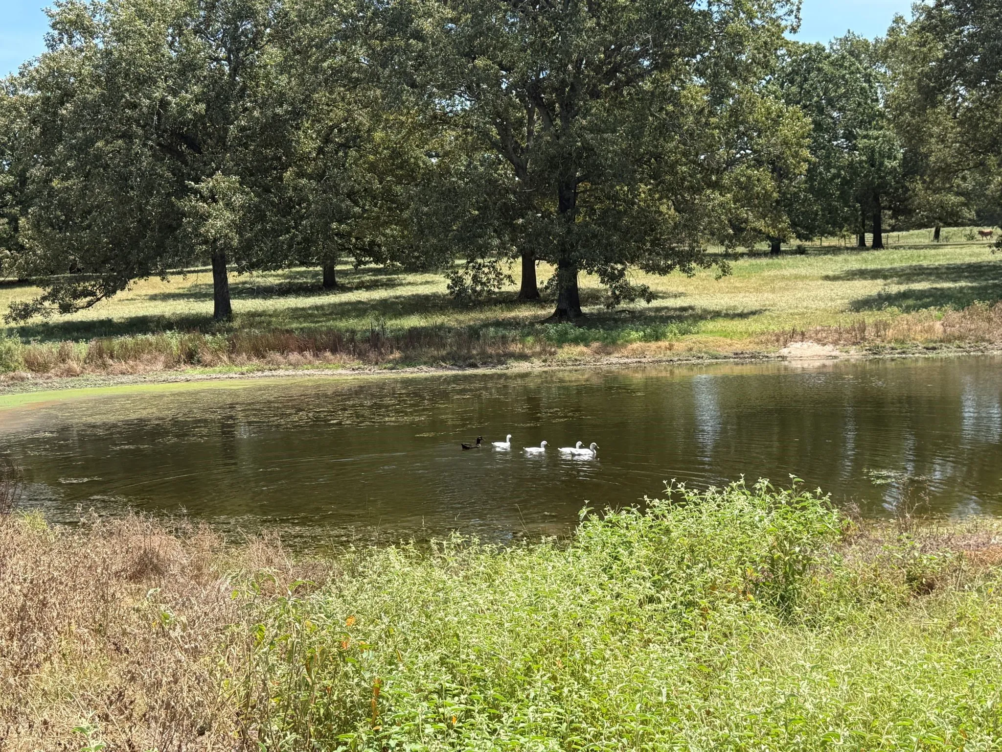 Improved Land For Sale in Smith County , TBD US Highway 69 N, Lindale, Texas 75773, 0, 0, Garage spaces, 0 Sqft, built in 0, mls#21402028, Real Estate Agent in Lindale, Homes For Sale in Smith county, Homes For Sale in Lindale, Realtor in Lindale Texas, Real Estate Brokerage Independent Realty Texas, Luminita Cordes Realtor