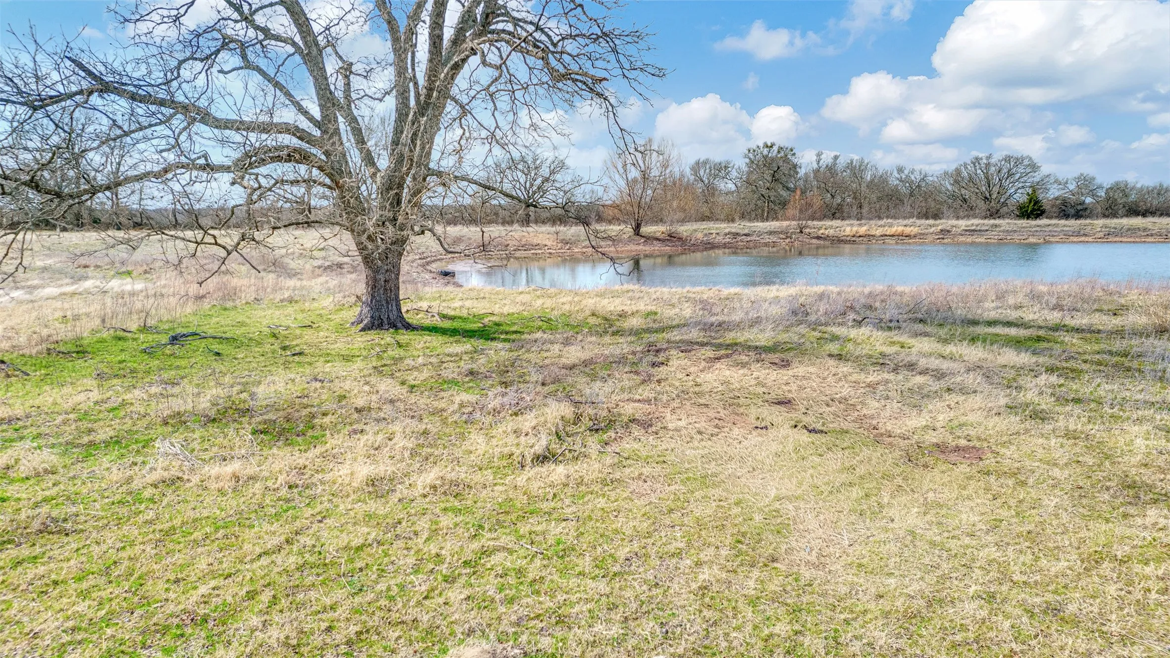 Ranch For Sale in Collin County , 15694 County Road 834, Blue Ridge, Texas 75424, 0, 0, Garage spaces, 0 Sqft, built in 1982, mls#21401171, Real Estate Agent in Blue Ridge, Homes For Sale in Collin county, Homes For Sale in Blue Ridge, Realtor in Blue Ridge Texas, Real Estate Brokerage Independent Realty Texas, Luminita Cordes Realtor