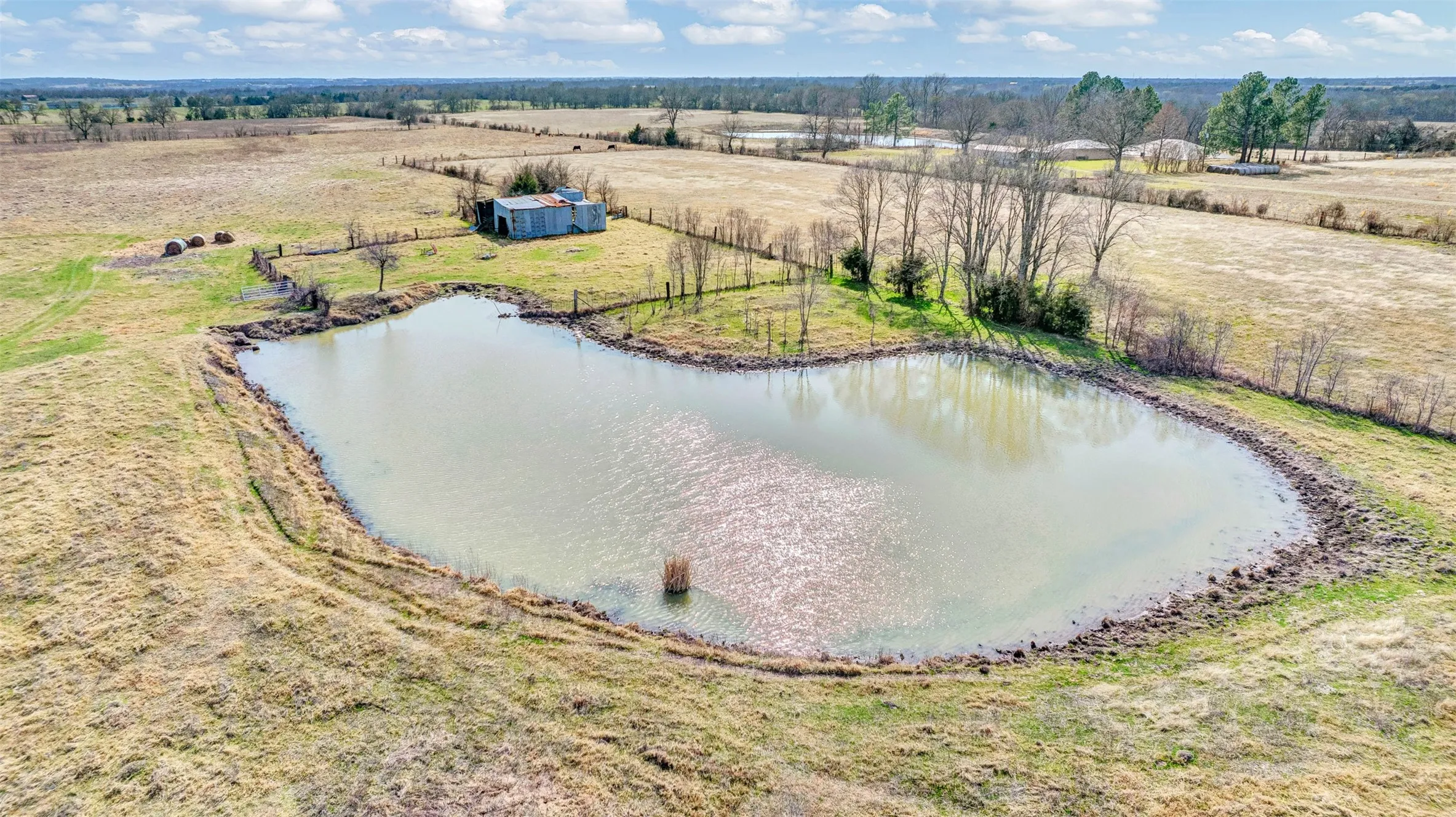 Ranch For Sale in Collin County , 15694 County Road 834, Blue Ridge, Texas 75424, 0, 0, Garage spaces, 0 Sqft, built in 1982, mls#21401171, Real Estate Agent in Blue Ridge, Homes For Sale in Collin county, Homes For Sale in Blue Ridge, Realtor in Blue Ridge Texas, Real Estate Brokerage Independent Realty Texas, Luminita Cordes Realtor