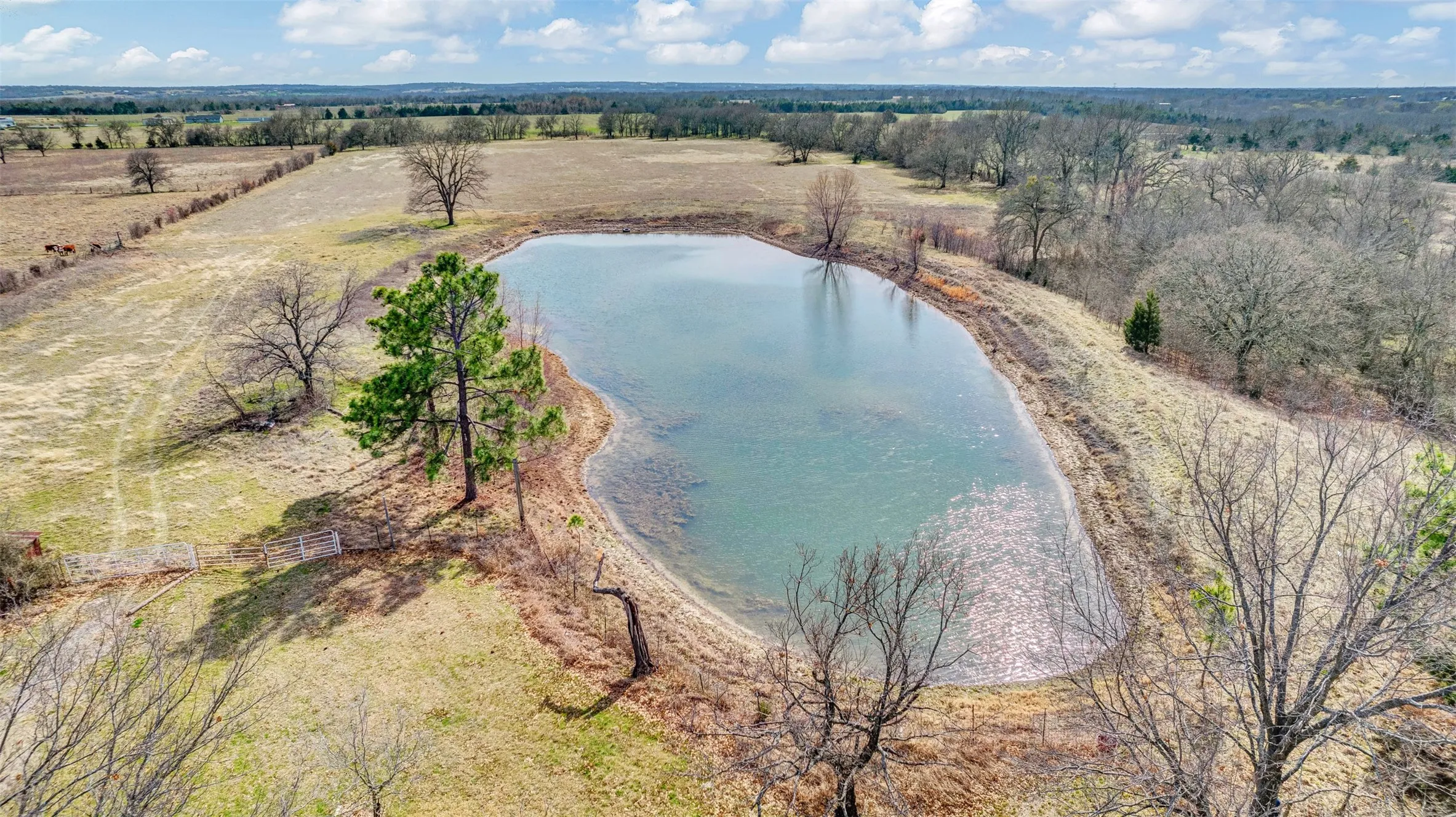 Ranch For Sale in Collin County , 15694 County Road 834, Blue Ridge, Texas 75424, 0, 0, Garage spaces, 0 Sqft, built in 1982, mls#21401171, Real Estate Agent in Blue Ridge, Homes For Sale in Collin county, Homes For Sale in Blue Ridge, Realtor in Blue Ridge Texas, Real Estate Brokerage Independent Realty Texas, Luminita Cordes Realtor