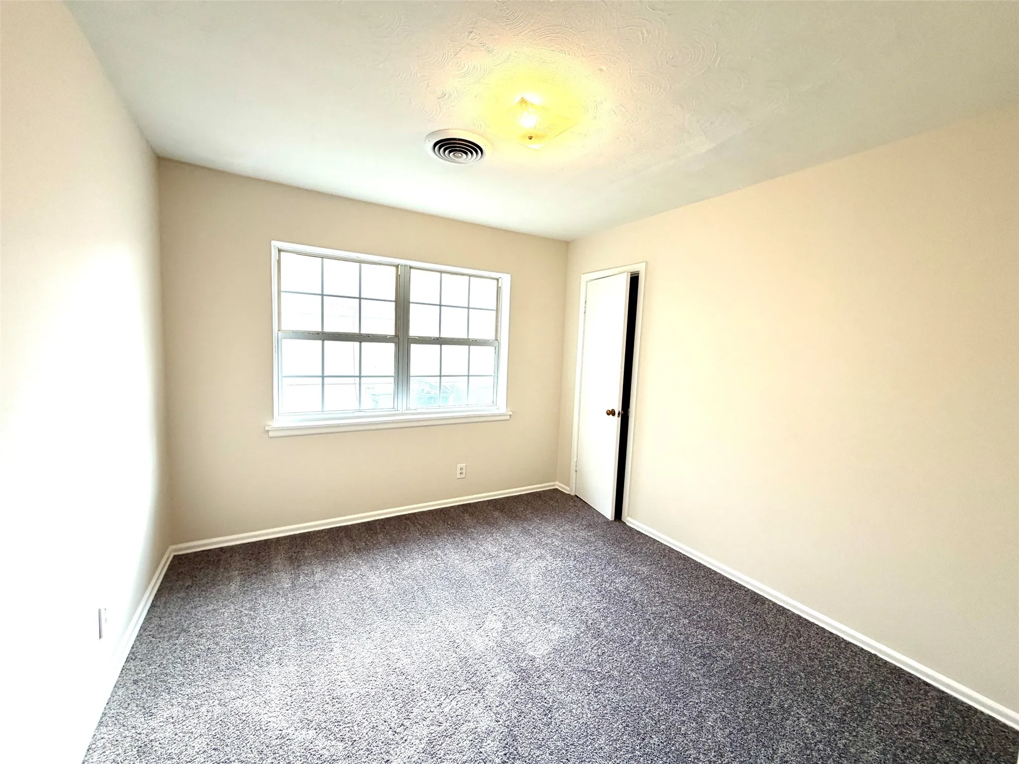 Neutral wall paint, ceiling-mounted light fixture, window with grid panes, and dark grey carpet flooring