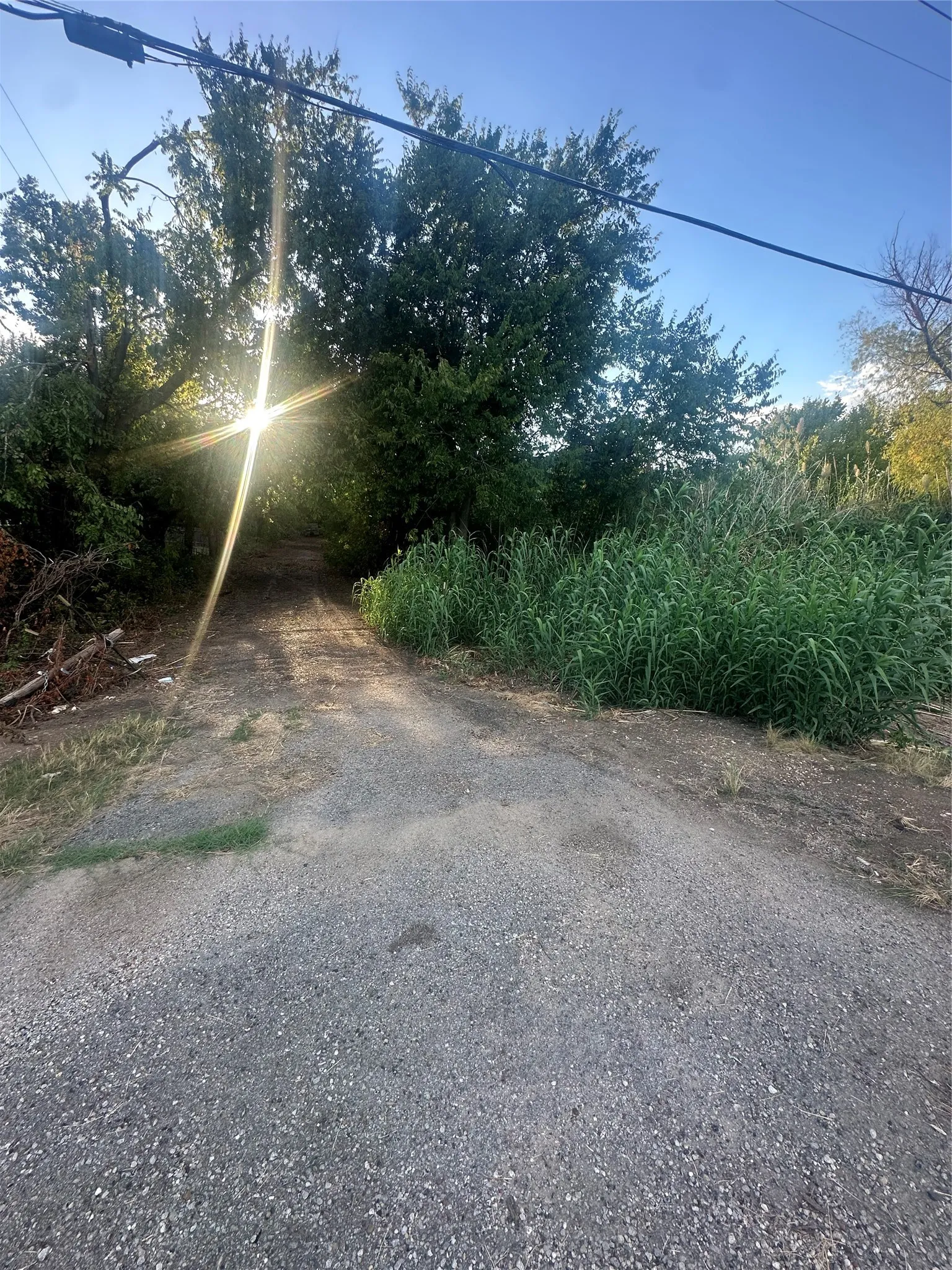 Unimproved Land For Sale in Ellis County , 5851 Fm 663, Midlothian, Texas 76065, 0, 0, Garage spaces, 0 Sqft, built in 0, mls#21397805, Real Estate Agent in Midlothian, Homes For Sale in Ellis county, Homes For Sale in Midlothian, Realtor in Midlothian Texas, Real Estate Brokerage Independent Realty Texas, Luminita Cordes Realtor