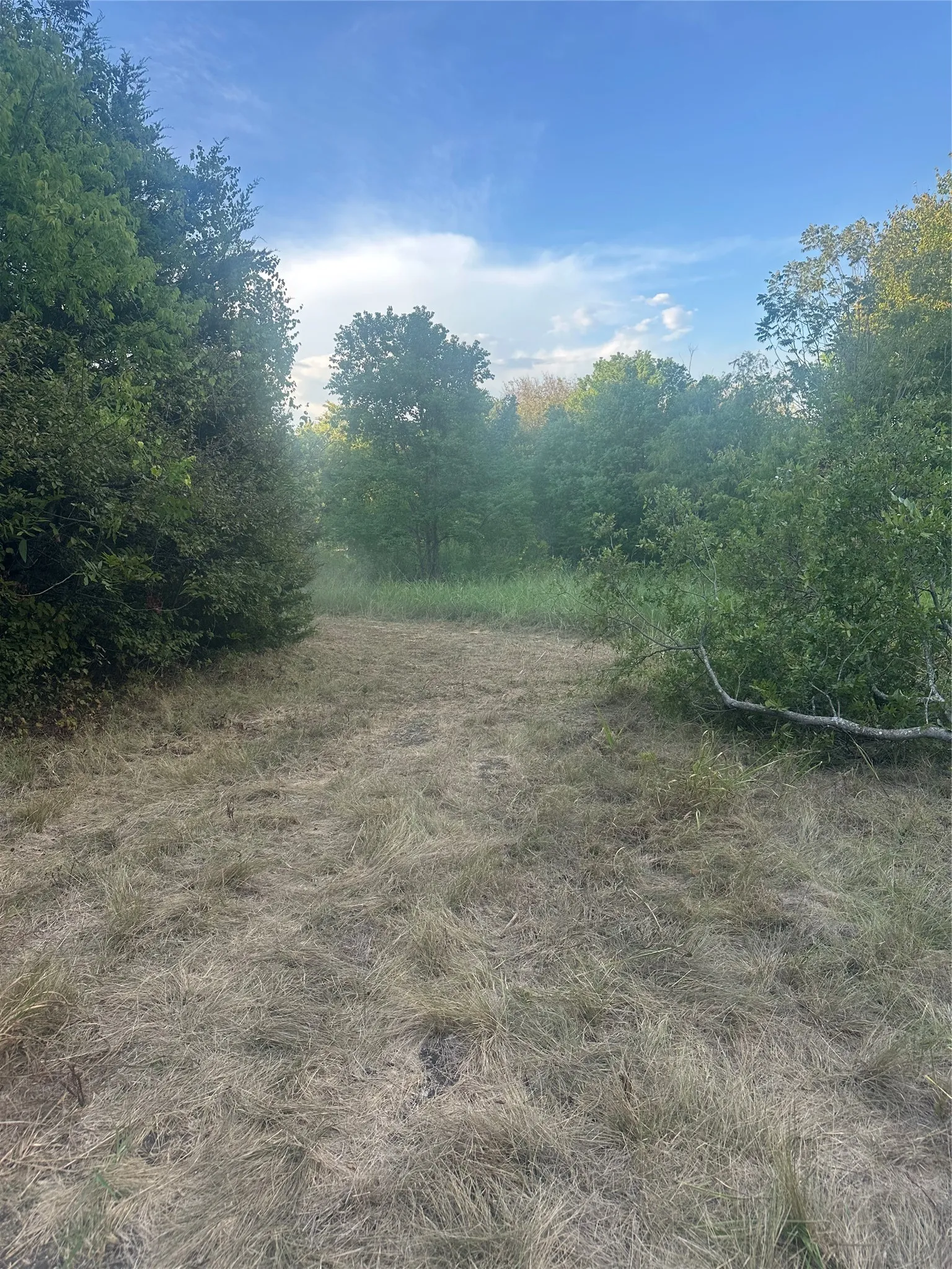 Unimproved Land For Sale in Ellis County , 5851 Fm 663, Midlothian, Texas 76065, 0, 0, Garage spaces, 0 Sqft, built in 0, mls#21397805, Real Estate Agent in Midlothian, Homes For Sale in Ellis county, Homes For Sale in Midlothian, Realtor in Midlothian Texas, Real Estate Brokerage Independent Realty Texas, Luminita Cordes Realtor