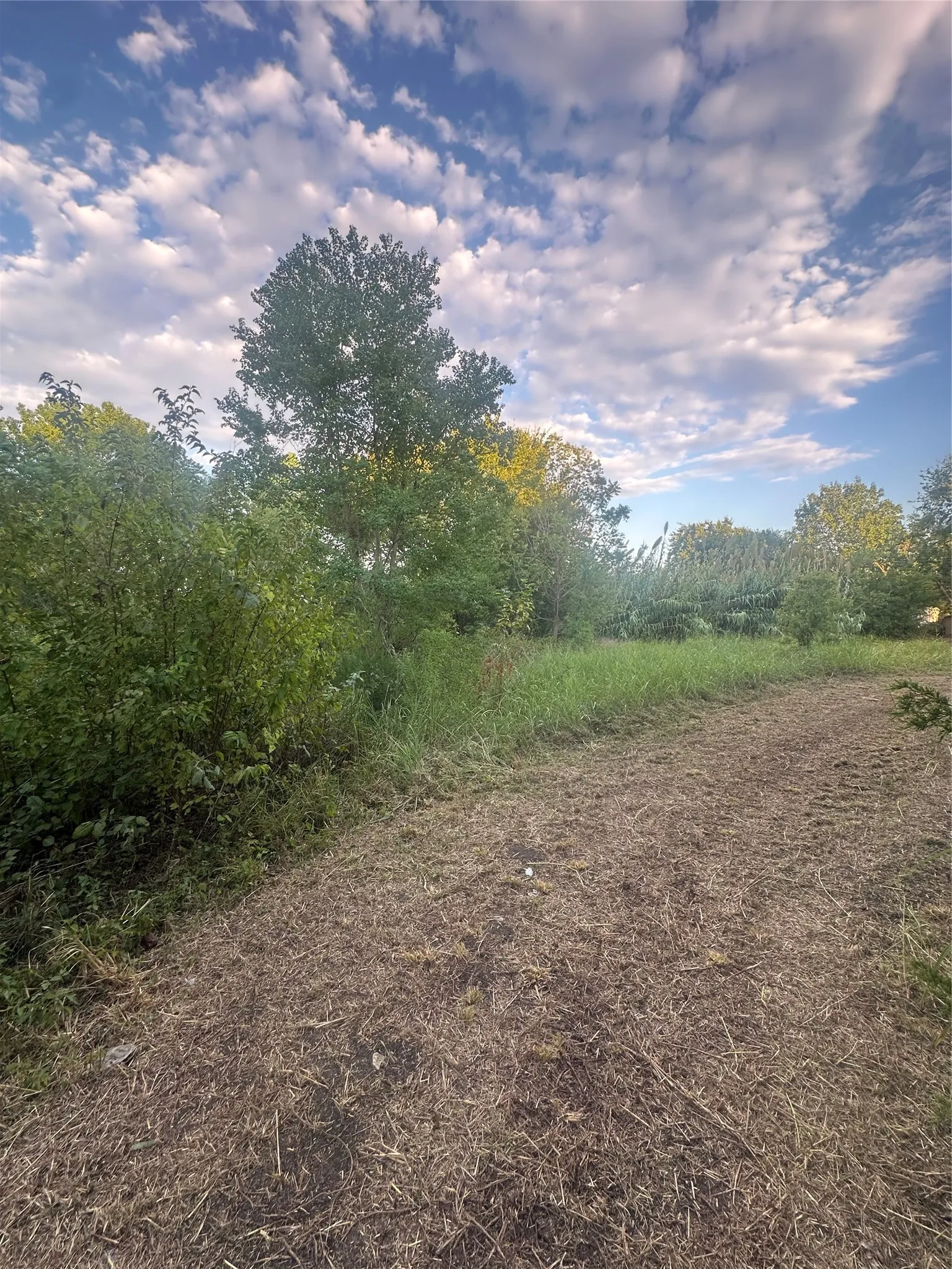 Unimproved Land For Sale in Ellis County , 5851 Fm 663, Midlothian, Texas 76065, 0, 0, Garage spaces, 0 Sqft, built in 0, mls#21397805, Real Estate Agent in Midlothian, Homes For Sale in Ellis county, Homes For Sale in Midlothian, Realtor in Midlothian Texas, Real Estate Brokerage Independent Realty Texas, Luminita Cordes Realtor