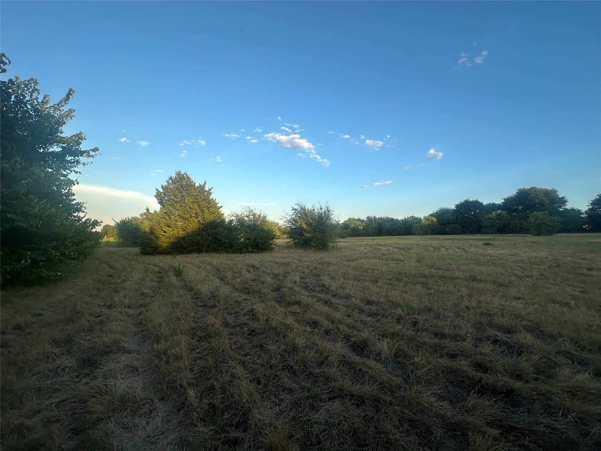 Unimproved Land For Sale in Ellis County , 5851 Fm 663, Midlothian, Texas 76065, 0, 0, Garage spaces, 0 Sqft, built in 0, mls#21397805, Real Estate Agent in Midlothian, Homes For Sale in Ellis county, Homes For Sale in Midlothian, Realtor in Midlothian Texas, Real Estate Brokerage Independent Realty Texas, Luminita Cordes Realtor