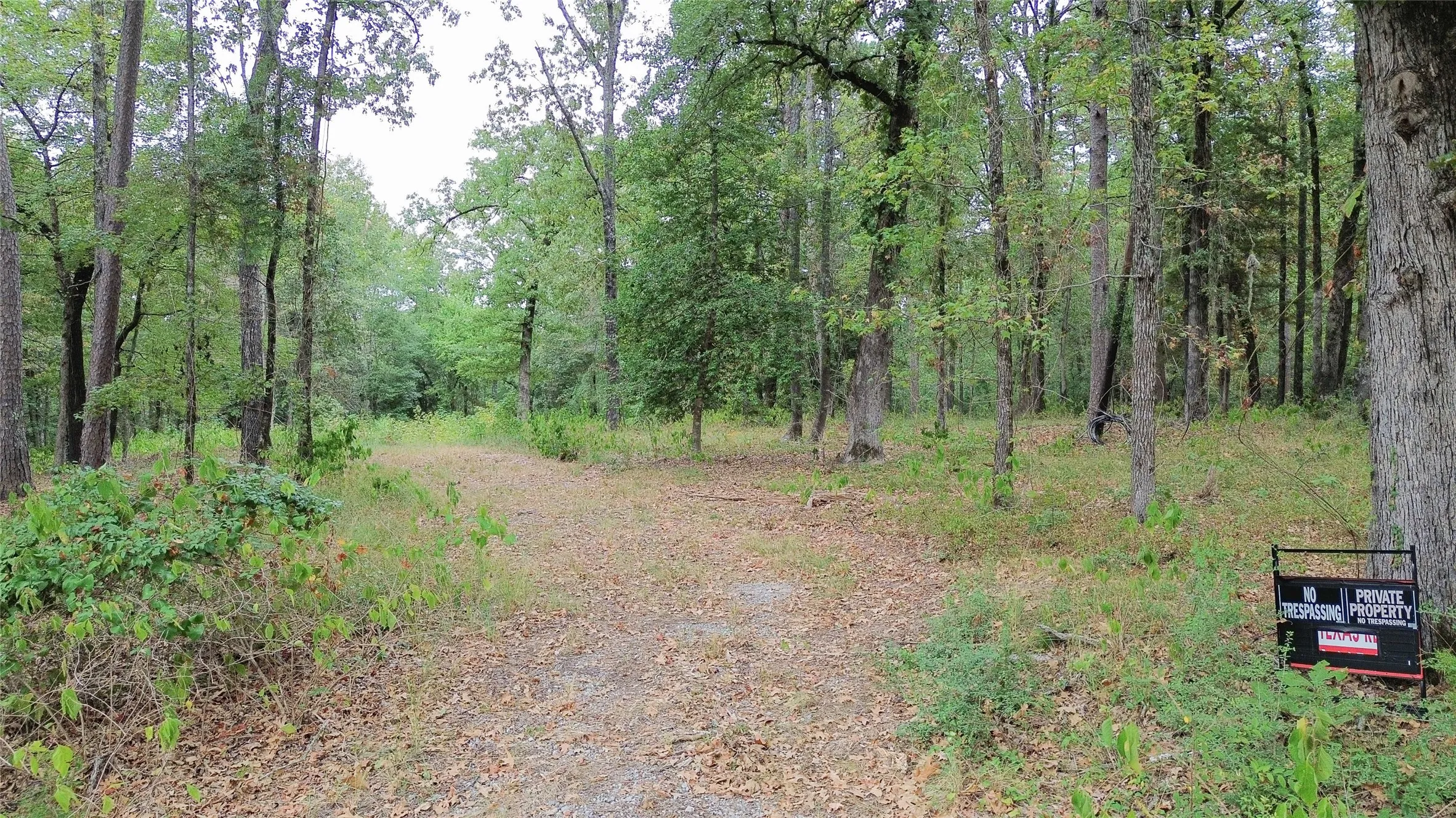 Unimproved Land For Sale in Cass County , 1688 County Road 1597, Avinger, Texas 75630, 0, 0, Garage spaces, 0 Sqft, built in 0, mls#21402116, Real Estate Agent in Avinger, Homes For Sale in Cass county, Homes For Sale in Avinger, Realtor in Avinger Texas, Real Estate Brokerage Independent Realty Texas, Luminita Cordes Realtor