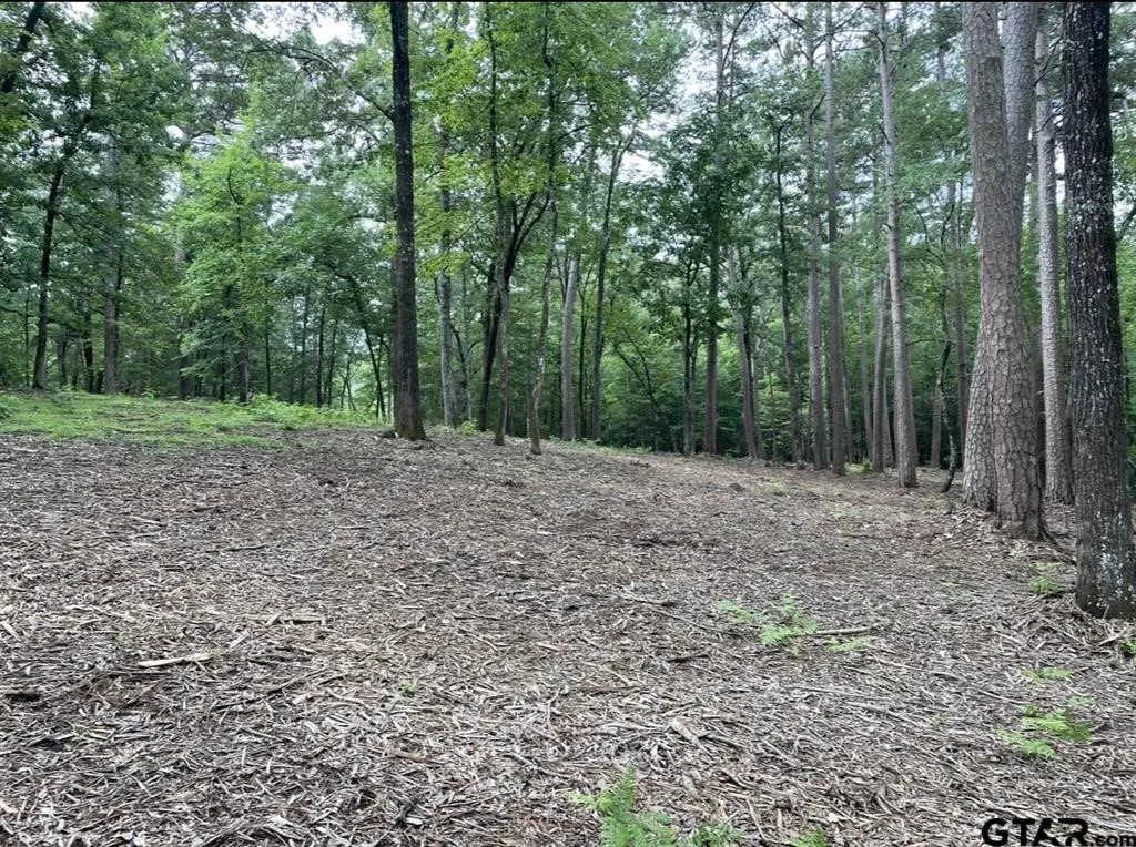 Unimproved Land For Sale in Cass County , 1688 County Road 1597, Avinger, Texas 75630, 0, 0, Garage spaces, 0 Sqft, built in 0, mls#21402116, Real Estate Agent in Avinger, Homes For Sale in Cass county, Homes For Sale in Avinger, Realtor in Avinger Texas, Real Estate Brokerage Independent Realty Texas, Luminita Cordes Realtor