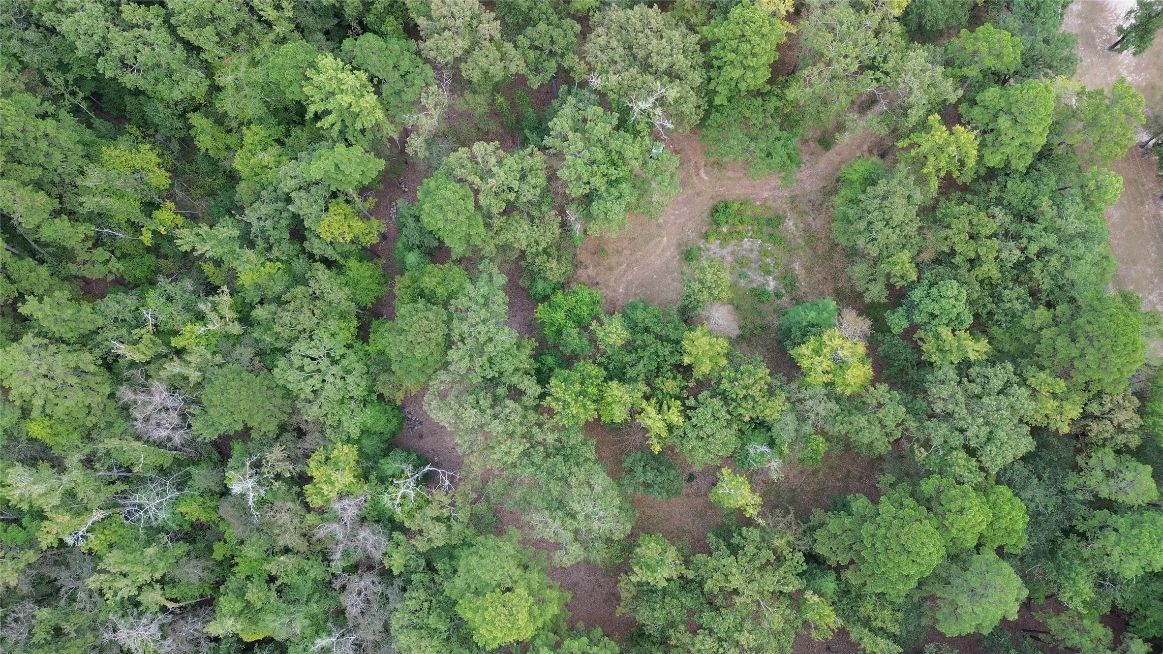 Unimproved Land For Sale in Cass County , 1688 County Road 1597, Avinger, Texas 75630, 0, 0, Garage spaces, 0 Sqft, built in 0, mls#21402116, Real Estate Agent in Avinger, Homes For Sale in Cass county, Homes For Sale in Avinger, Realtor in Avinger Texas, Real Estate Brokerage Independent Realty Texas, Luminita Cordes Realtor
