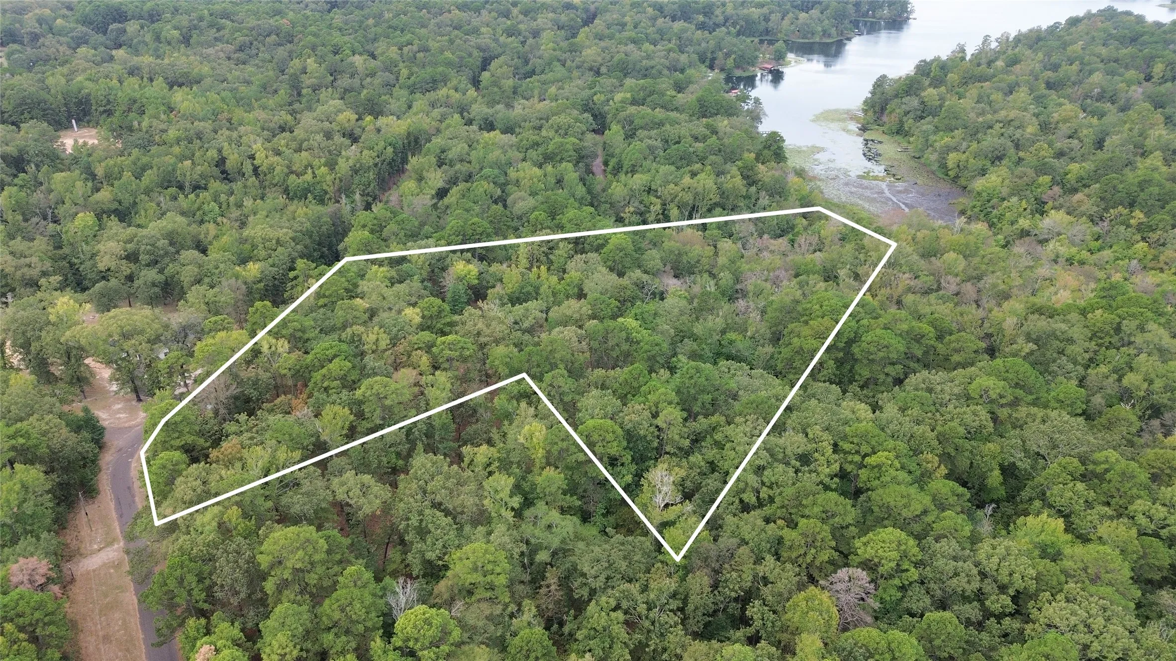 Unimproved Land For Sale in Cass County , 1688 County Road 1597, Avinger, Texas 75630, 0, 0, Garage spaces, 0 Sqft, built in 0, mls#21402116, Real Estate Agent in Avinger, Homes For Sale in Cass county, Homes For Sale in Avinger, Realtor in Avinger Texas, Real Estate Brokerage Independent Realty Texas, Luminita Cordes Realtor