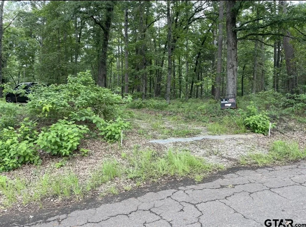 Unimproved Land For Sale in Cass County , 1688 County Road 1597, Avinger, Texas 75630, 0, 0, Garage spaces, 0 Sqft, built in 0, mls#21402116, Real Estate Agent in Avinger, Homes For Sale in Cass county, Homes For Sale in Avinger, Realtor in Avinger Texas, Real Estate Brokerage Independent Realty Texas, Luminita Cordes Realtor