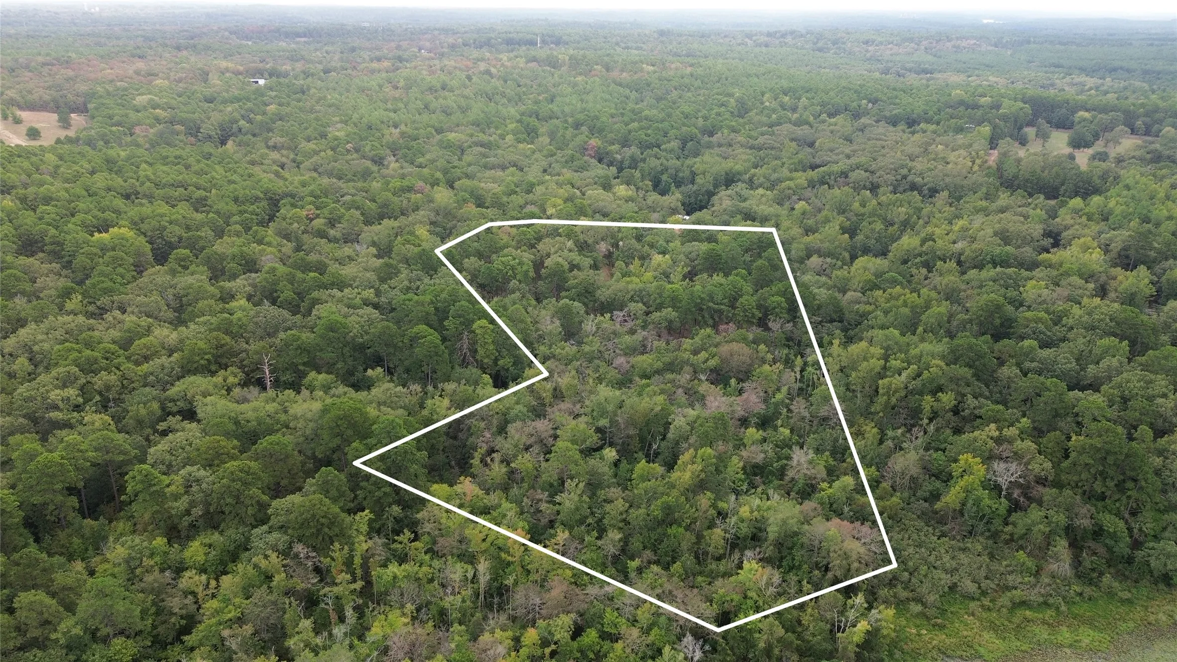 Unimproved Land For Sale in Cass County , 1688 County Road 1597, Avinger, Texas 75630, 0, 0, Garage spaces, 0 Sqft, built in 0, mls#21402116, Real Estate Agent in Avinger, Homes For Sale in Cass county, Homes For Sale in Avinger, Realtor in Avinger Texas, Real Estate Brokerage Independent Realty Texas, Luminita Cordes Realtor