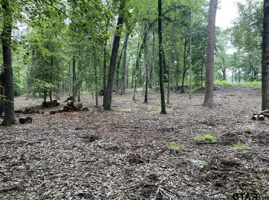 Unimproved Land For Sale in Cass County , 1688 County Road 1597, Avinger, Texas 75630, 0, 0, Garage spaces, 0 Sqft, built in 0, mls#21402116, Real Estate Agent in Avinger, Homes For Sale in Cass county, Homes For Sale in Avinger, Realtor in Avinger Texas, Real Estate Brokerage Independent Realty Texas, Luminita Cordes Realtor