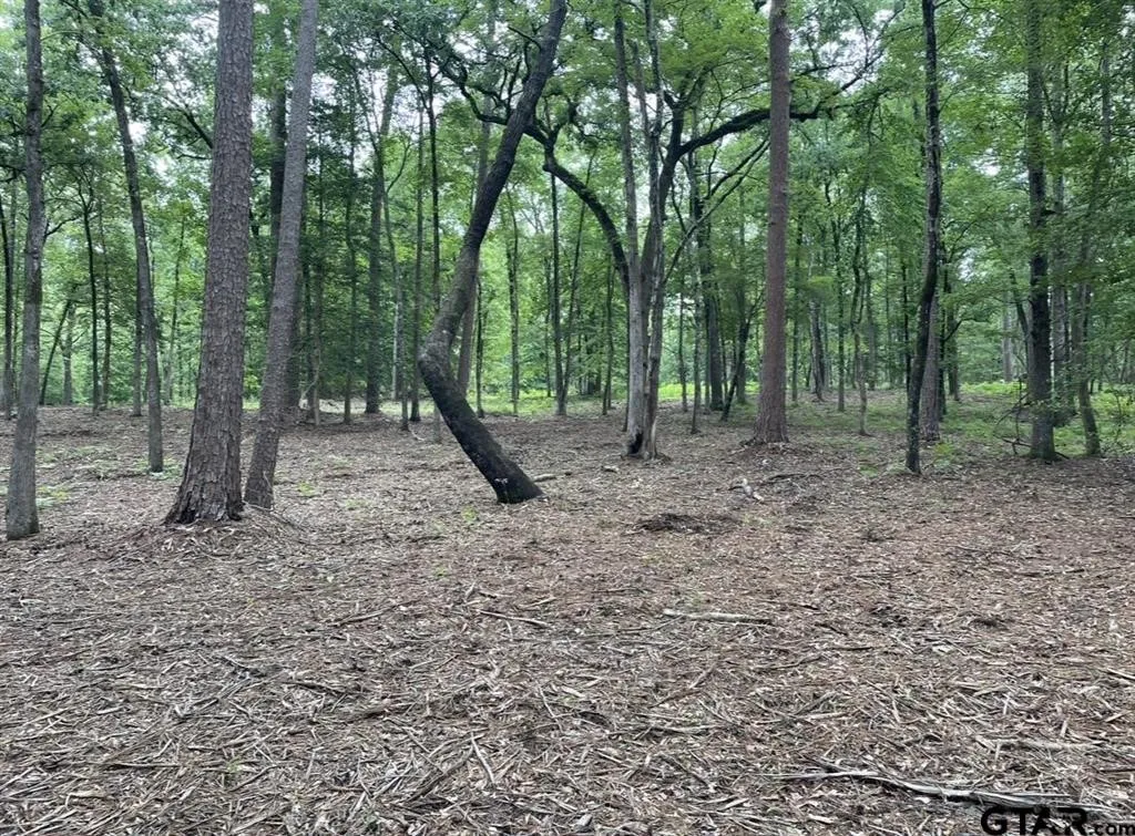Unimproved Land For Sale in Cass County , 1688 County Road 1597, Avinger, Texas 75630, 0, 0, Garage spaces, 0 Sqft, built in 0, mls#21402116, Real Estate Agent in Avinger, Homes For Sale in Cass county, Homes For Sale in Avinger, Realtor in Avinger Texas, Real Estate Brokerage Independent Realty Texas, Luminita Cordes Realtor