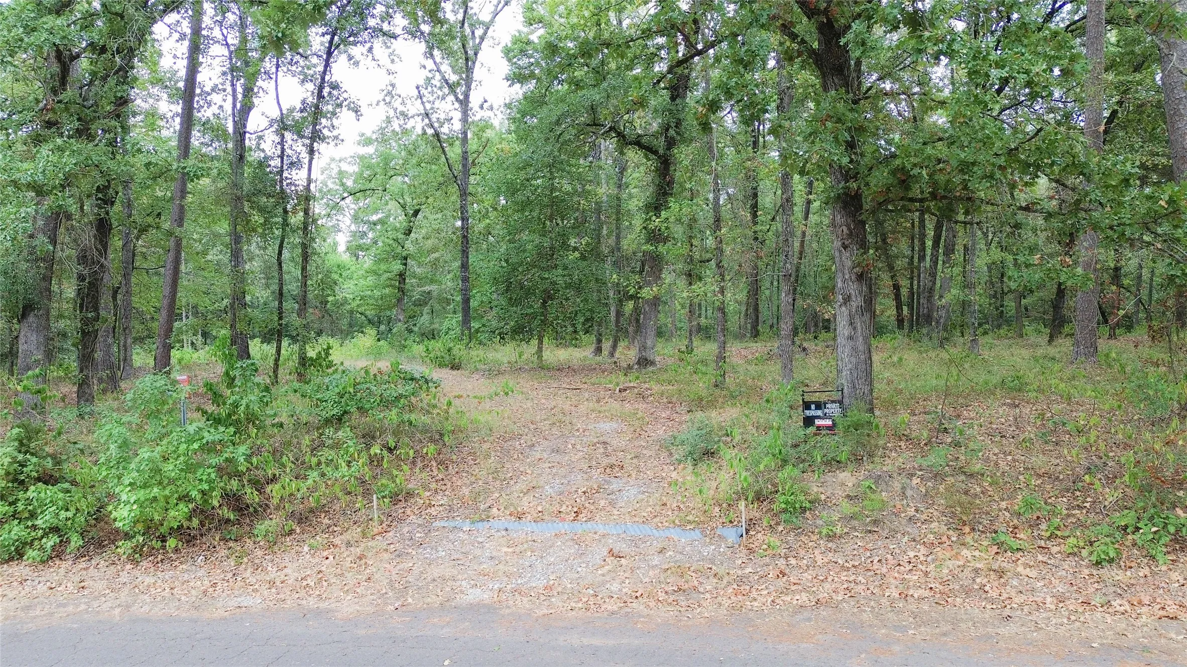 Unimproved Land For Sale in Cass County , 1688 County Road 1597, Avinger, Texas 75630, 0, 0, Garage spaces, 0 Sqft, built in 0, mls#21402116, Real Estate Agent in Avinger, Homes For Sale in Cass county, Homes For Sale in Avinger, Realtor in Avinger Texas, Real Estate Brokerage Independent Realty Texas, Luminita Cordes Realtor
