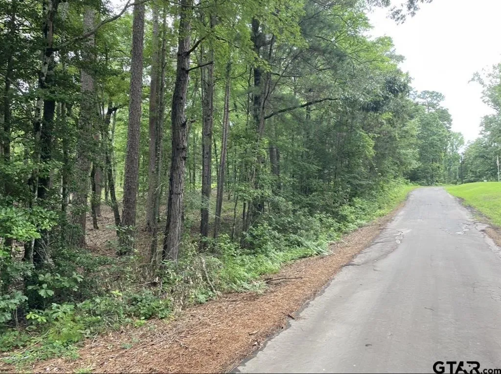 Unimproved Land For Sale in Cass County , 1688 County Road 1597, Avinger, Texas 75630, 0, 0, Garage spaces, 0 Sqft, built in 0, mls#21402116, Real Estate Agent in Avinger, Homes For Sale in Cass county, Homes For Sale in Avinger, Realtor in Avinger Texas, Real Estate Brokerage Independent Realty Texas, Luminita Cordes Realtor